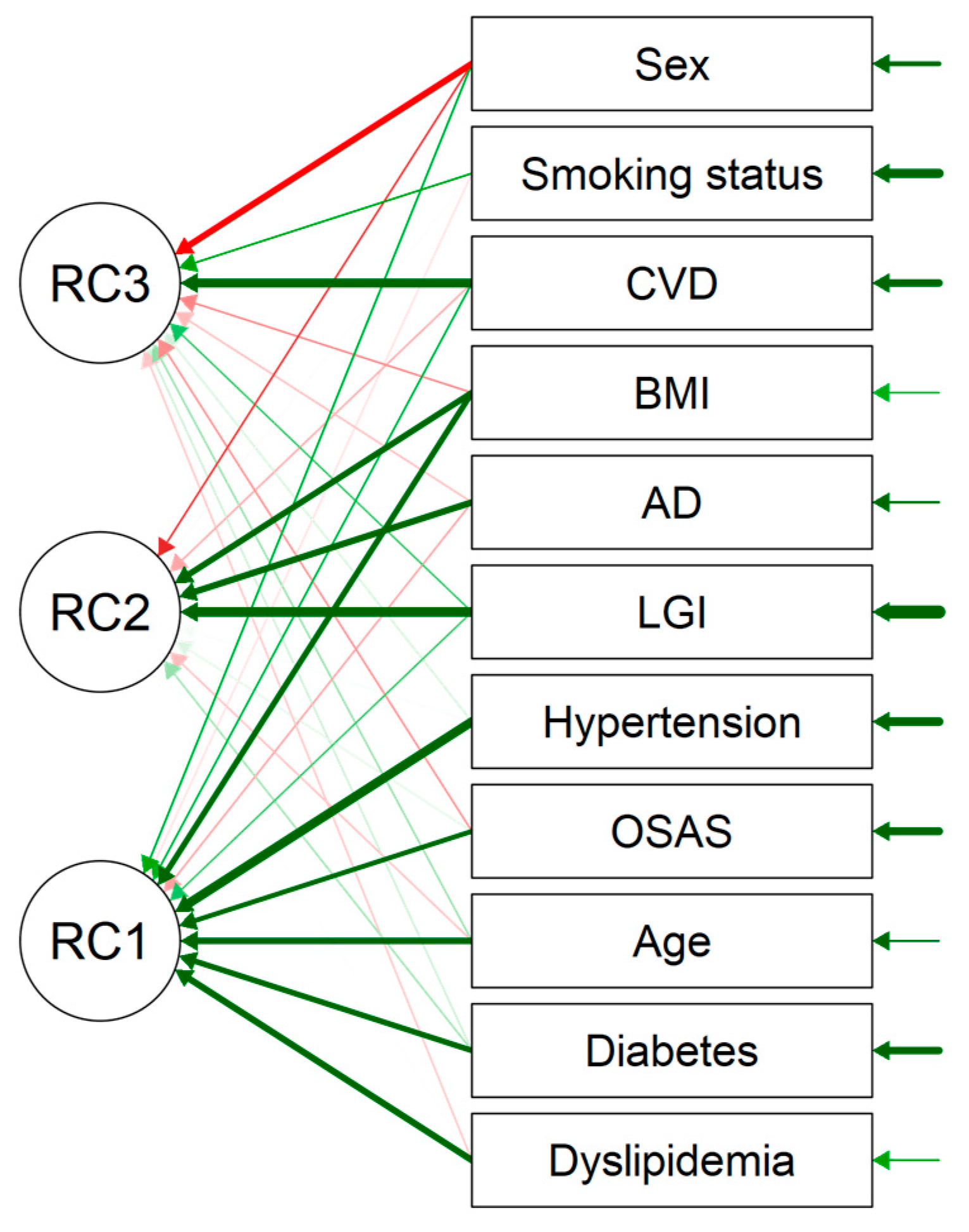 Brainsci 14 00850 g001