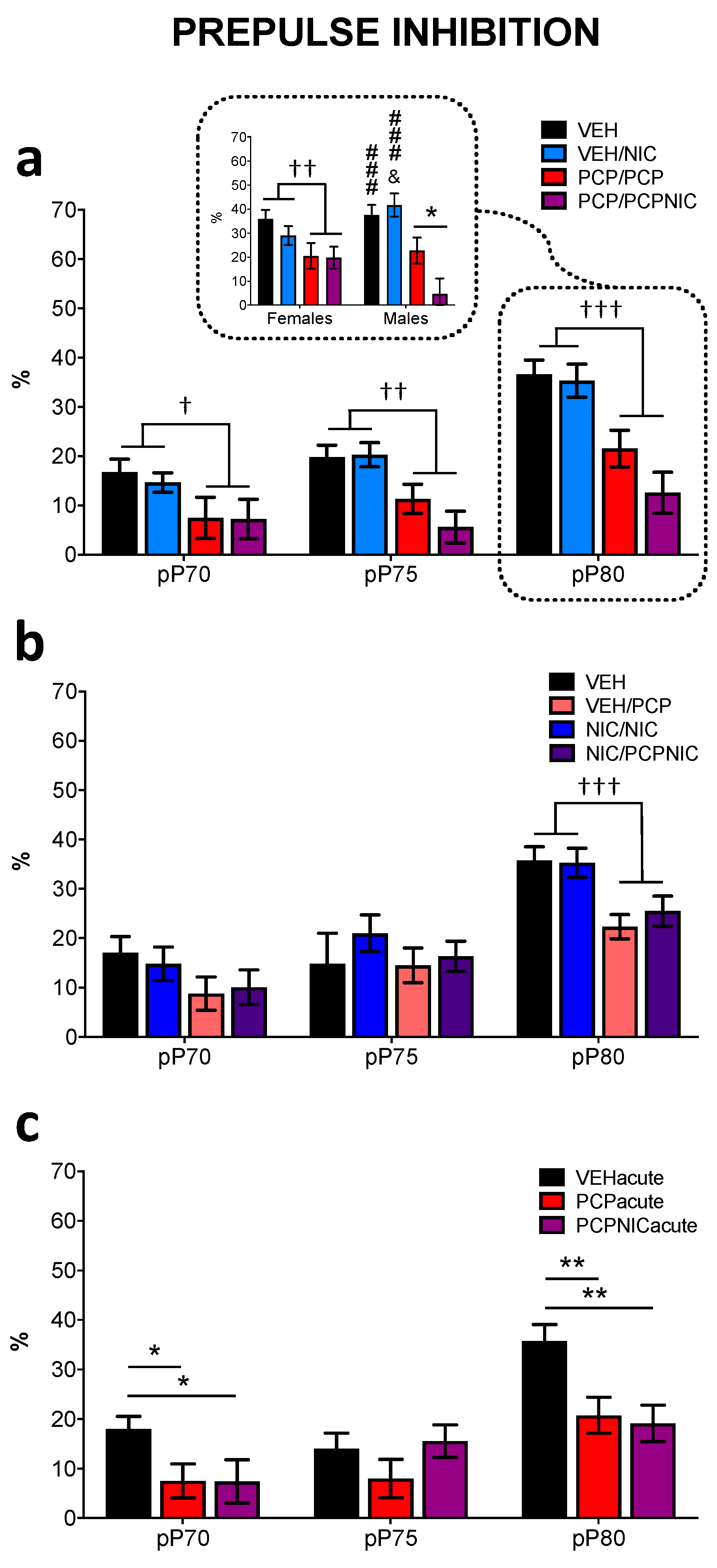 Brainsci 14 00855 g005 Brainsci 14 00855 g005
