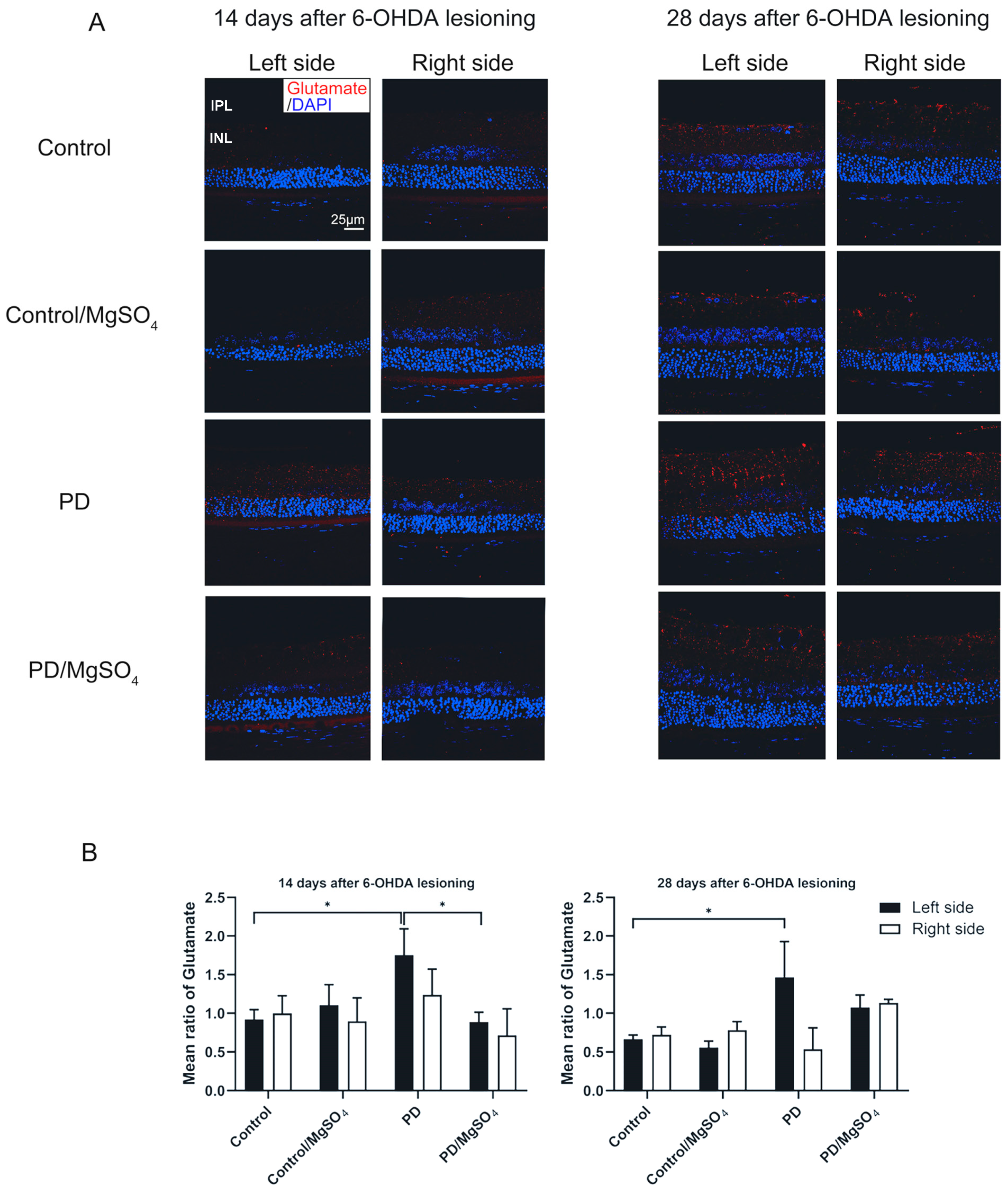 Brainsci 14 00861 g004