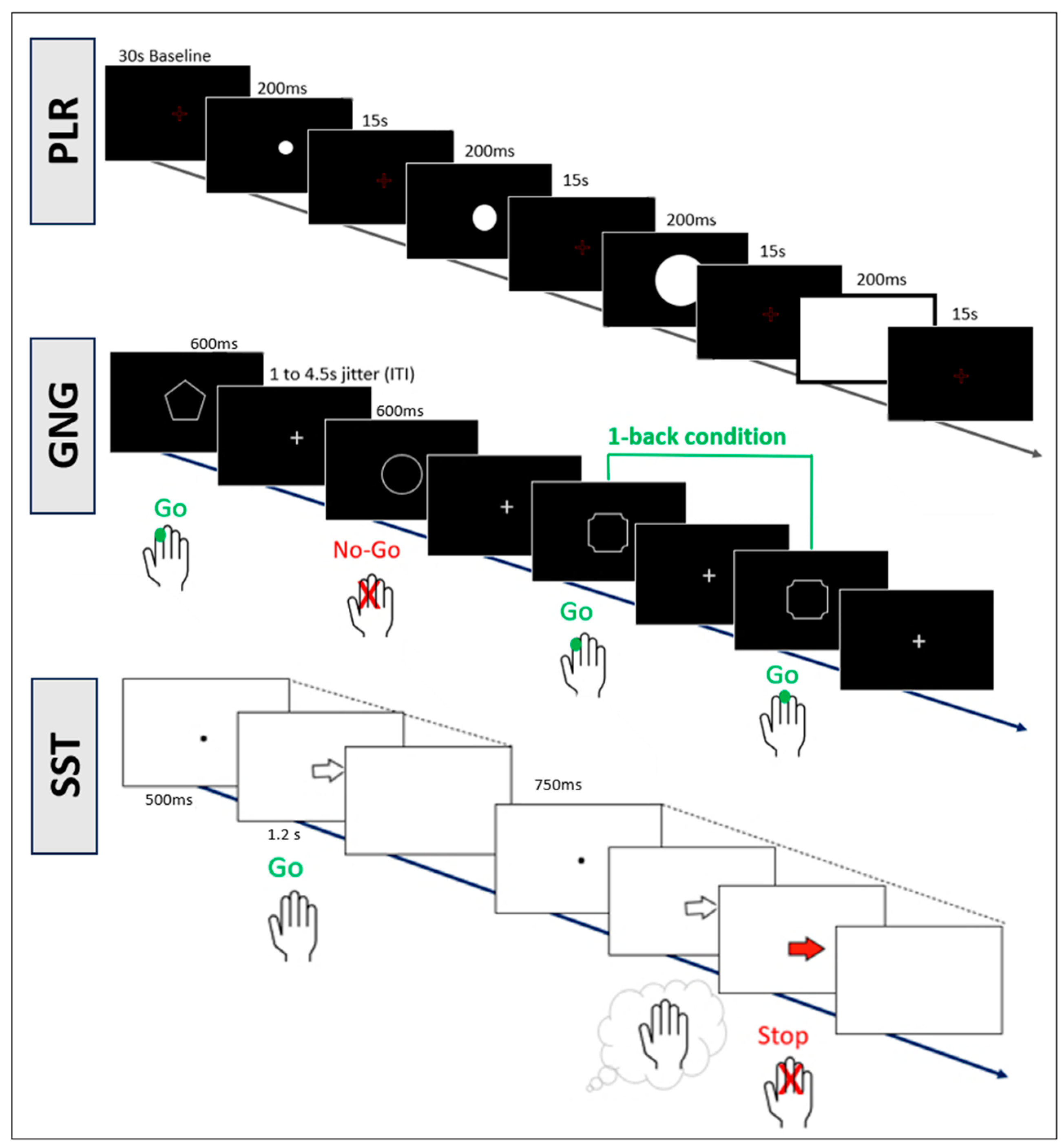 Brainsci 14 00875 g002