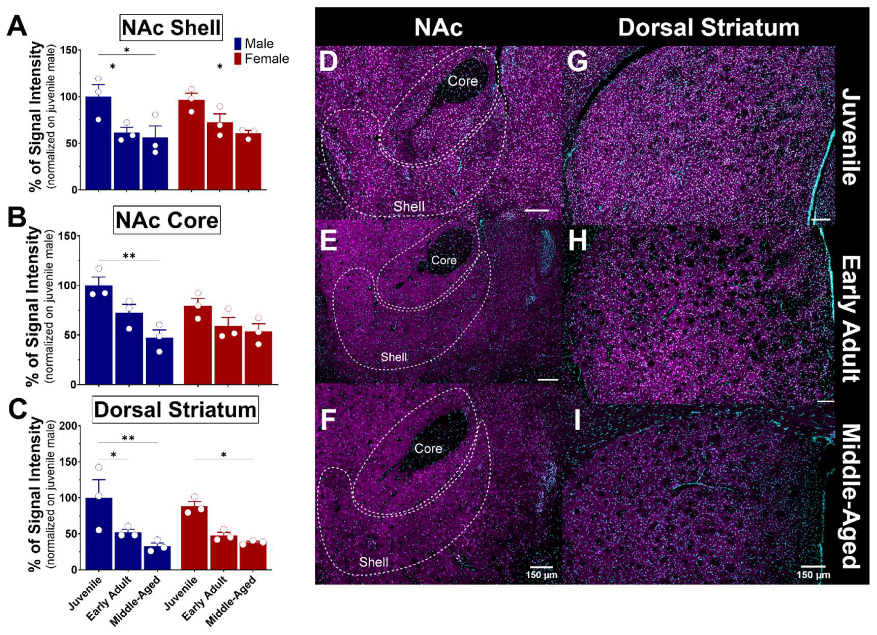 Brainsci 14 00881 g009
