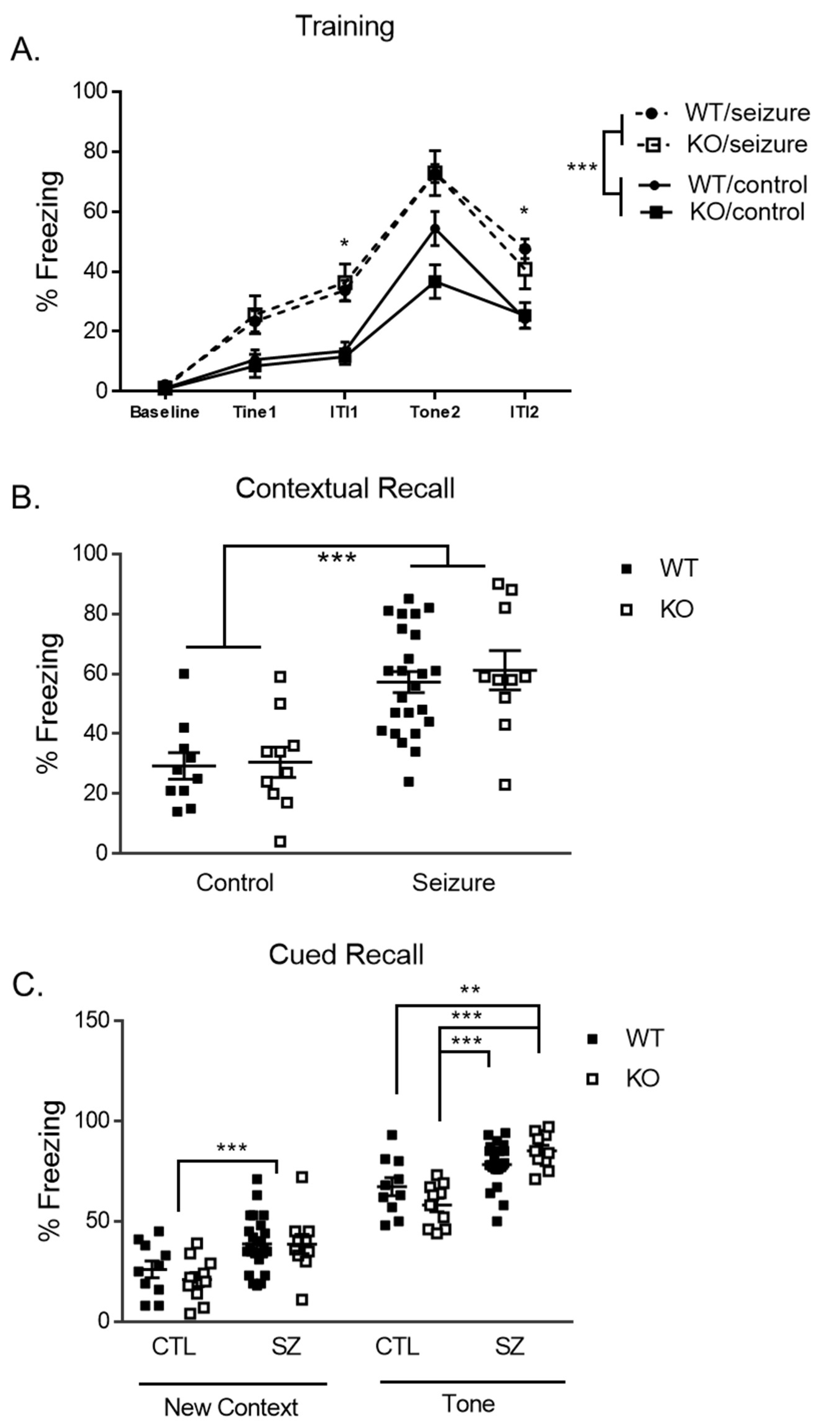 Brainsci 14 00892 g006