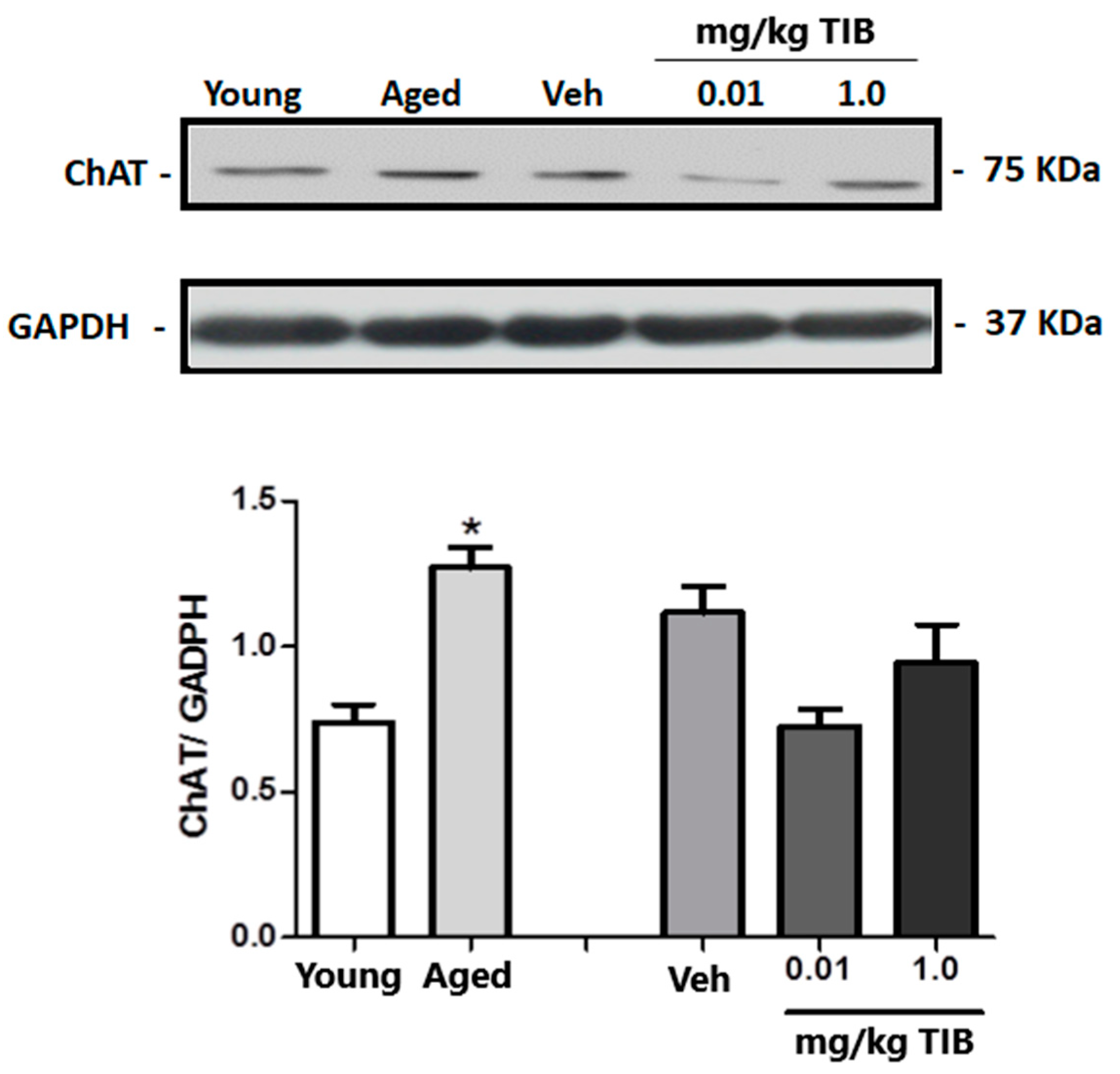 Brainsci 14 00903 g007