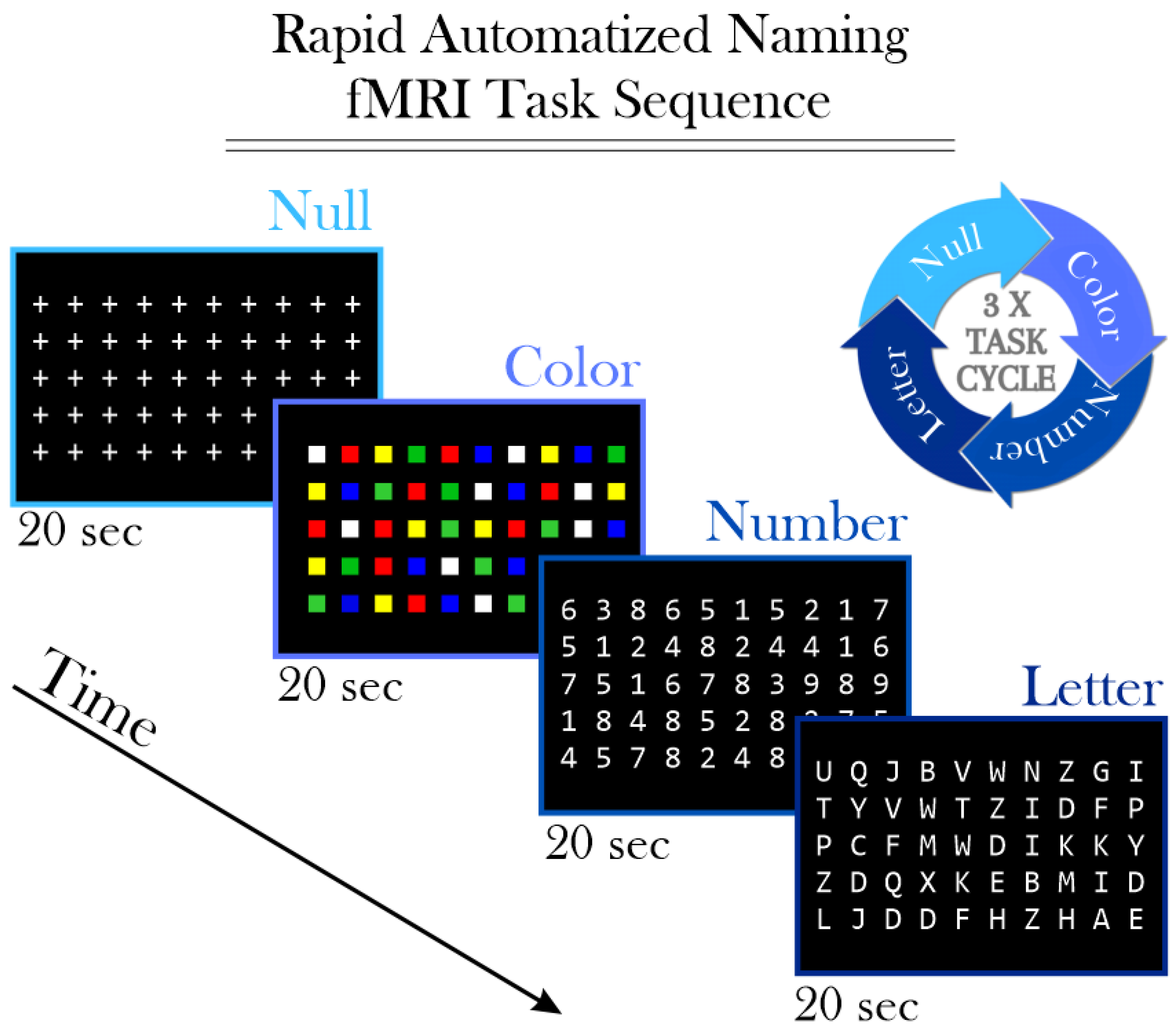 Brainsci 14 00904 g001