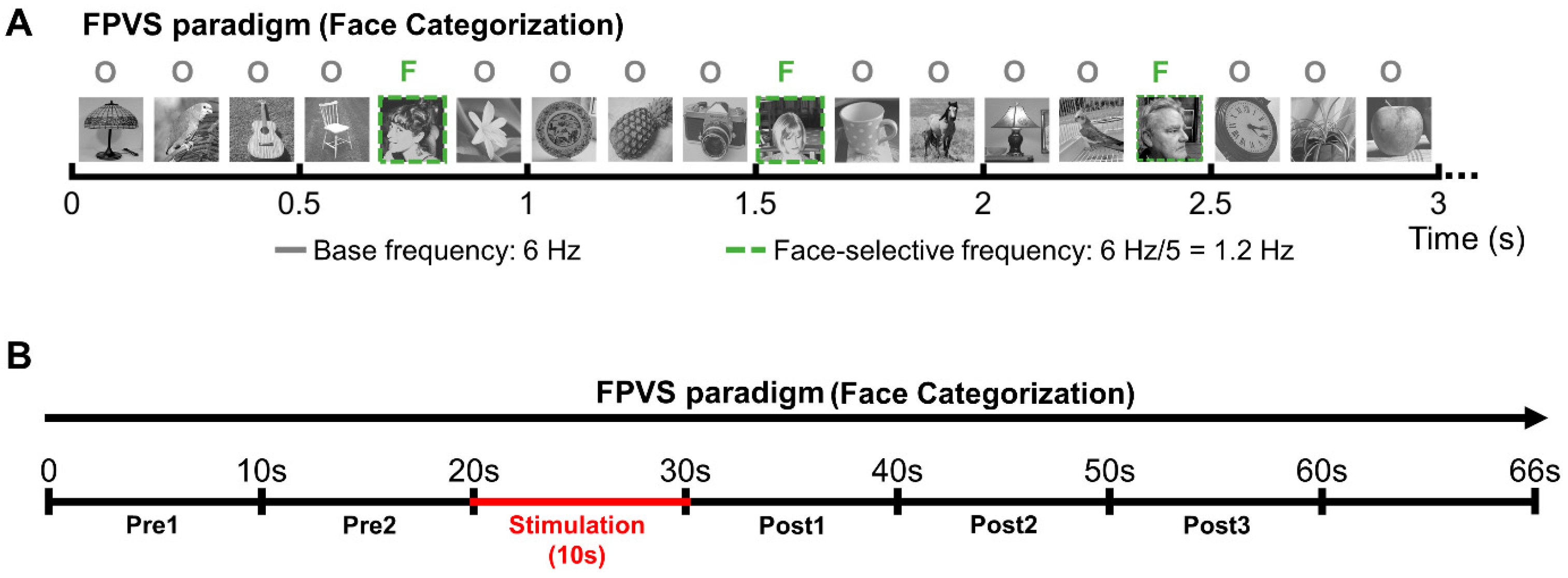 Brainsci 14 00906 g002