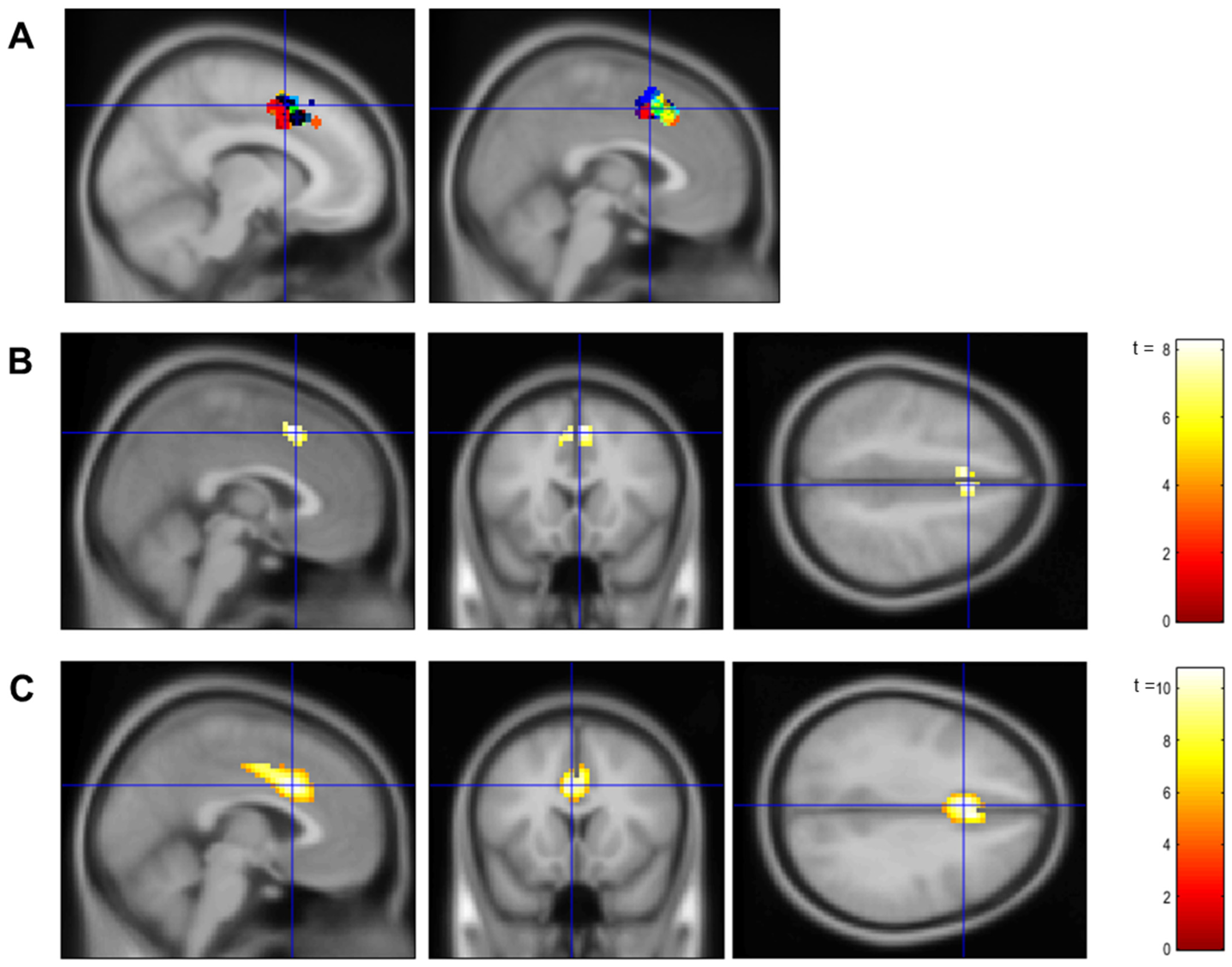 Brainsci 14 00931 g002