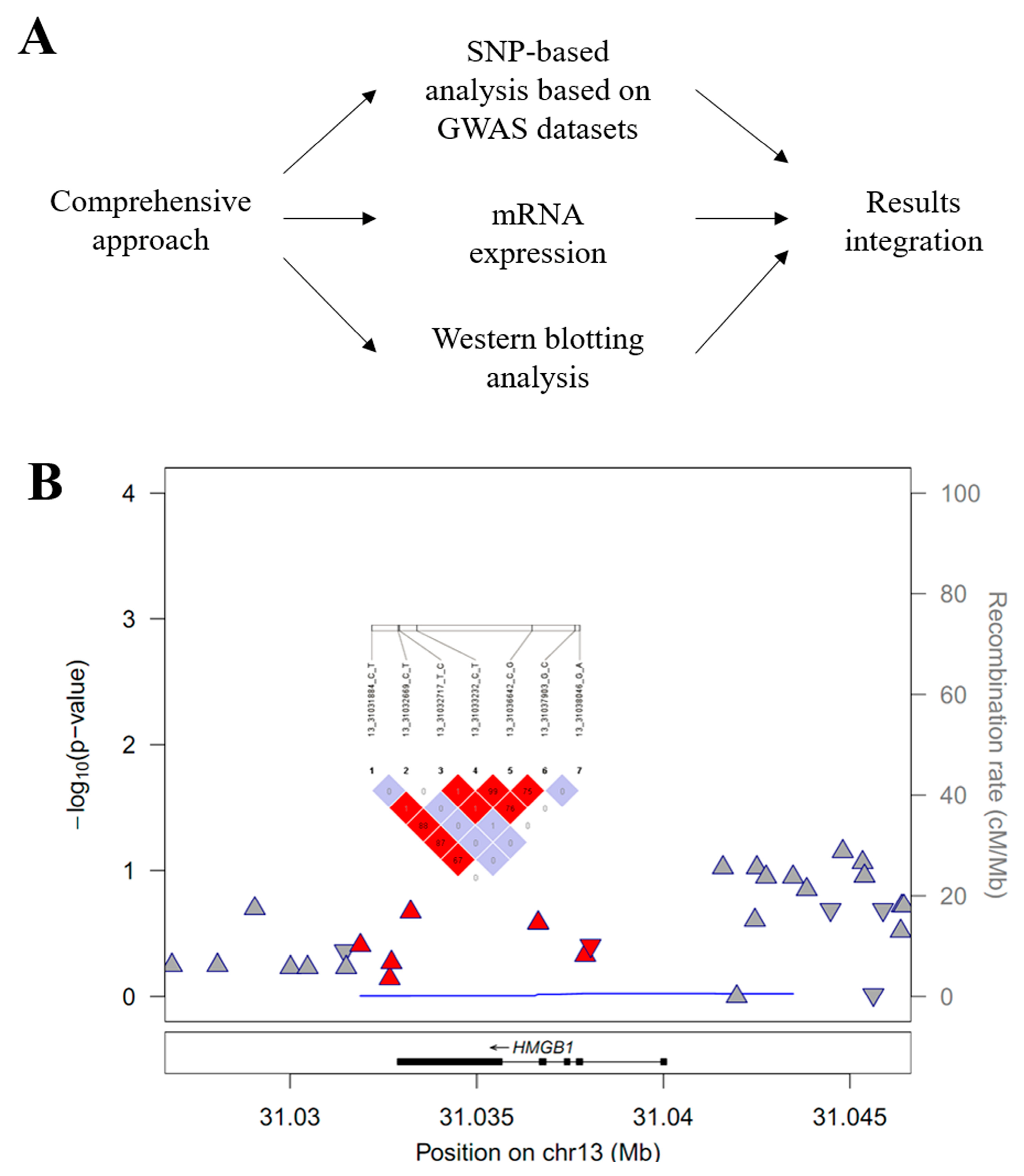 Brainsci 14 00969 g001