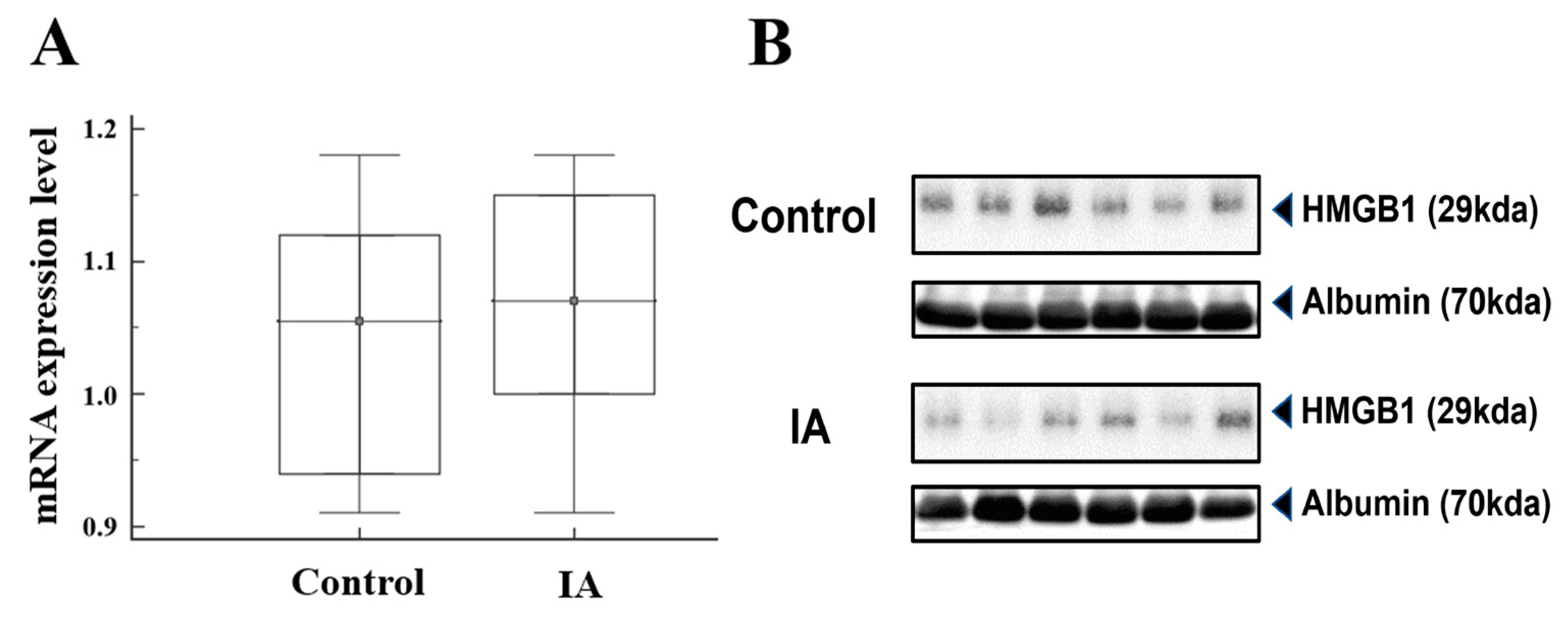 Brainsci 14 00969 g002