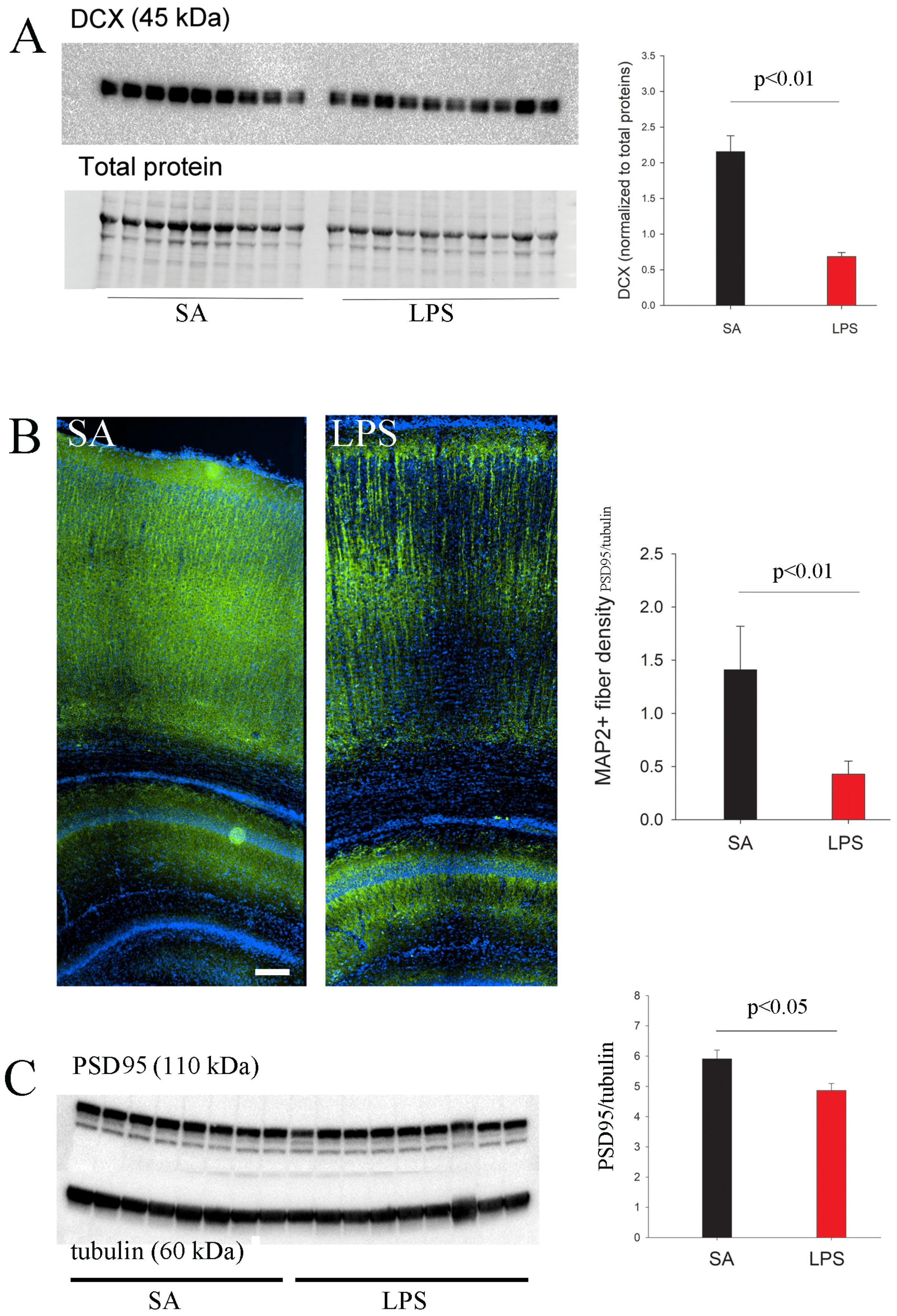Brainsci 14 00976 g007