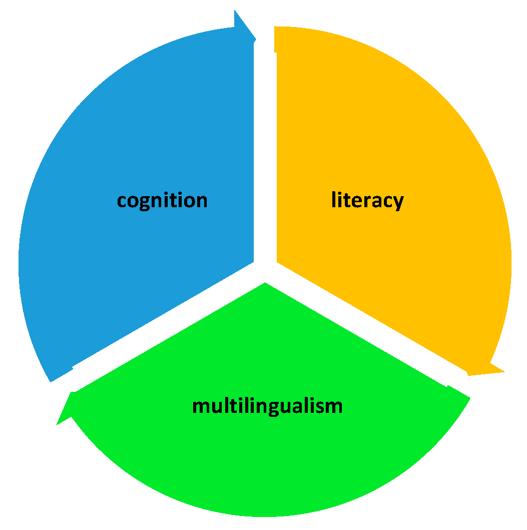 Brainsci 14 00979 g001 Brainsci 14 00979 g001