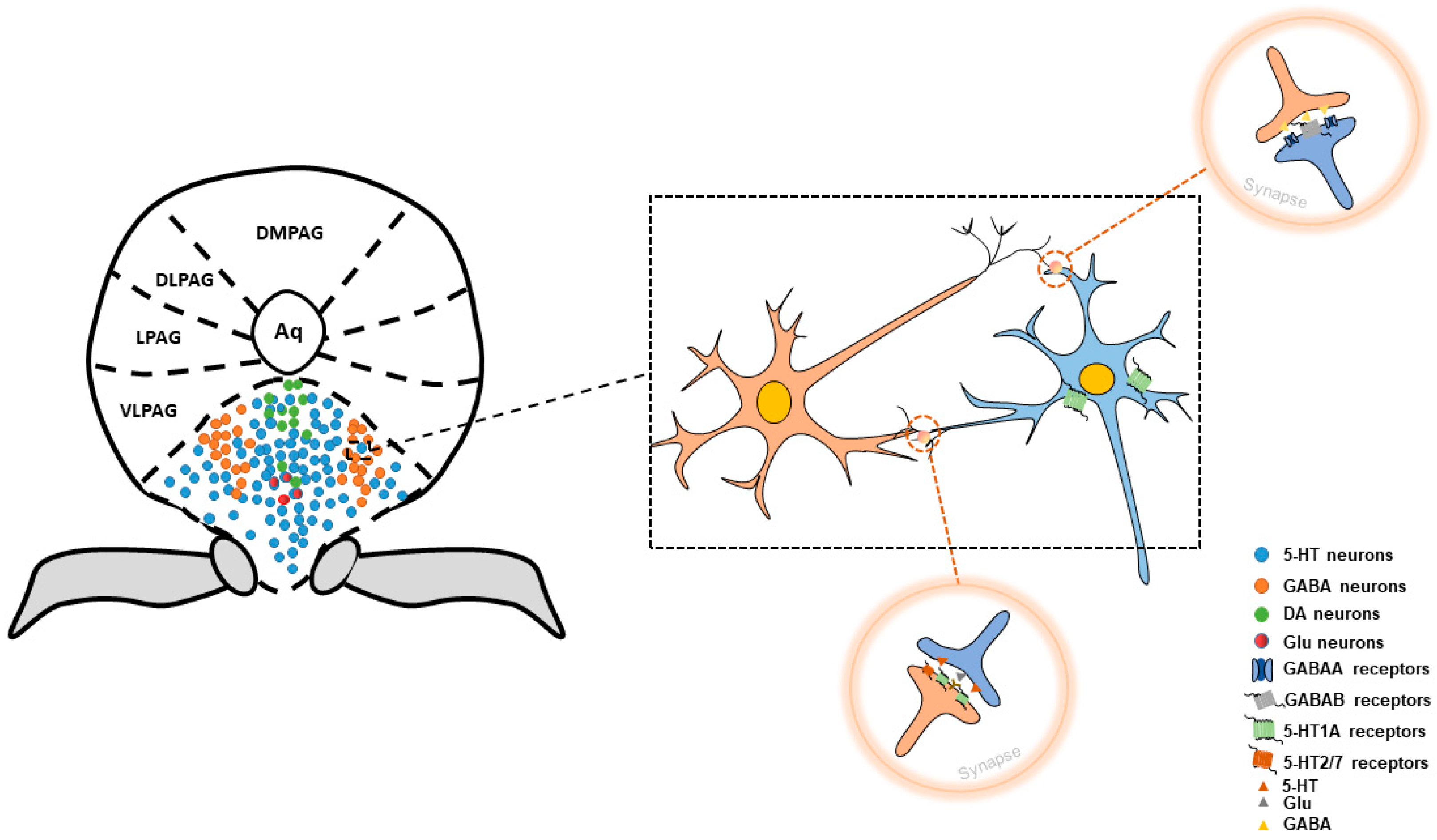 Brainsci 14 00982 g001