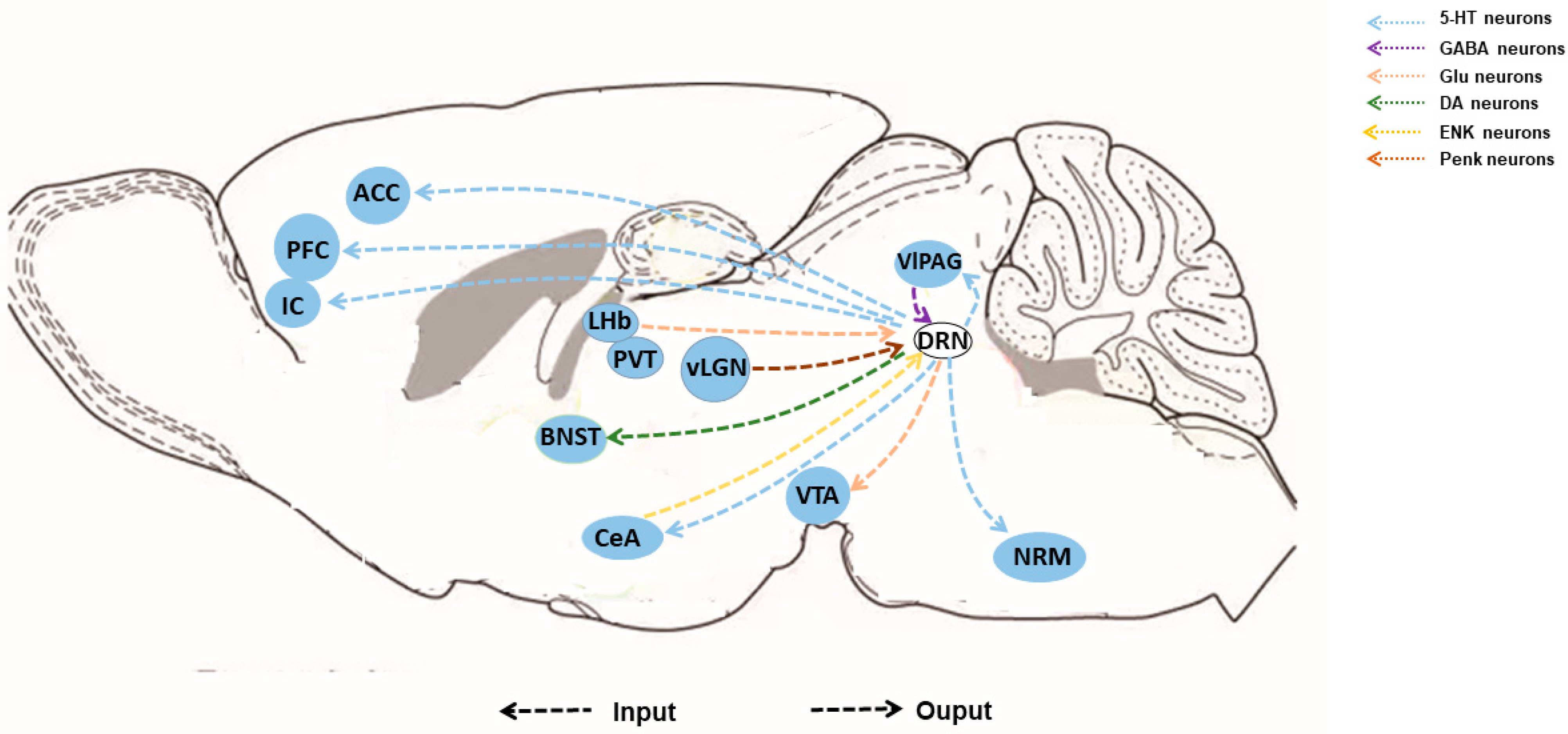Brainsci 14 00982 g002
