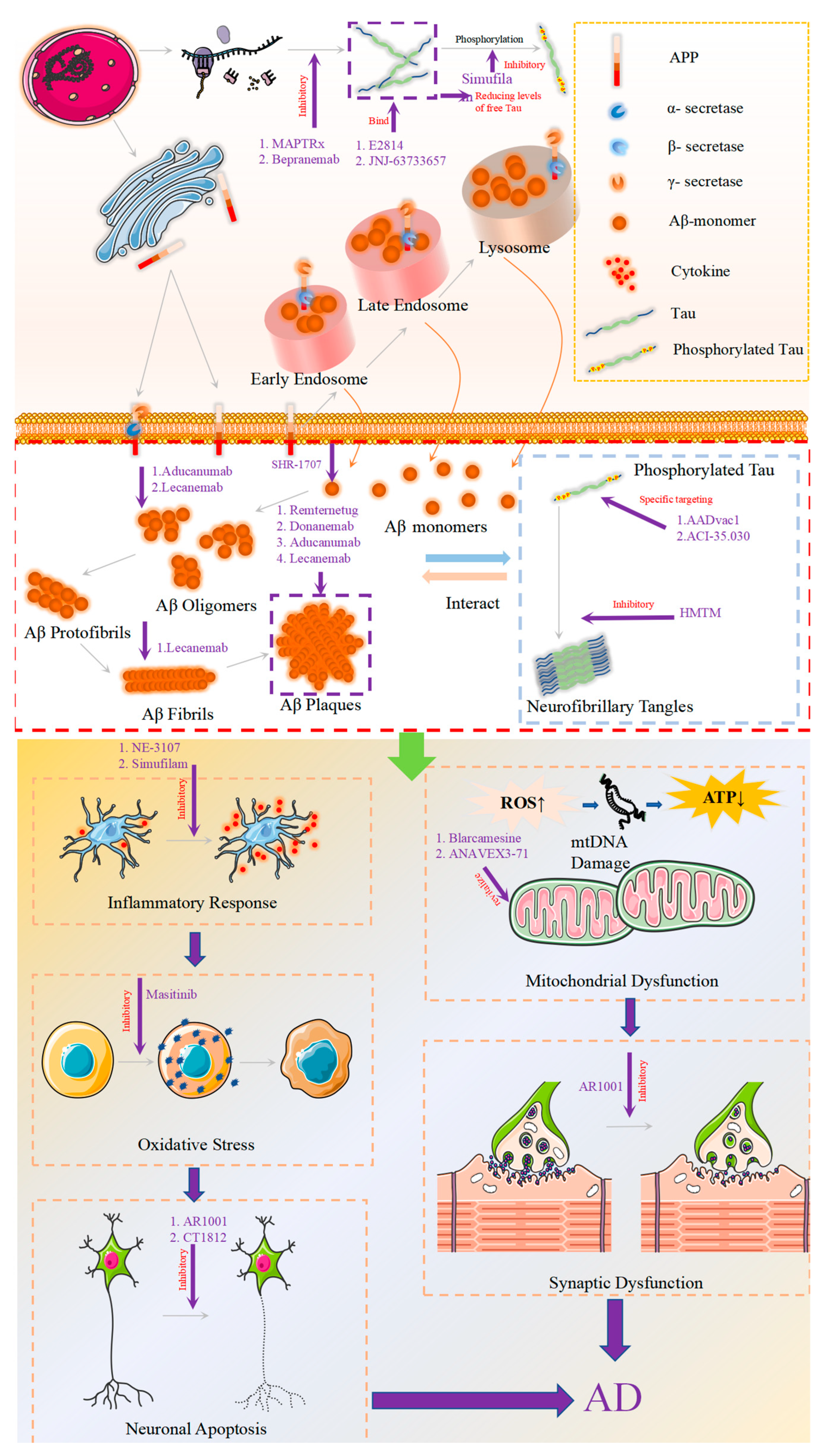 Brainsci 14 00990 g001