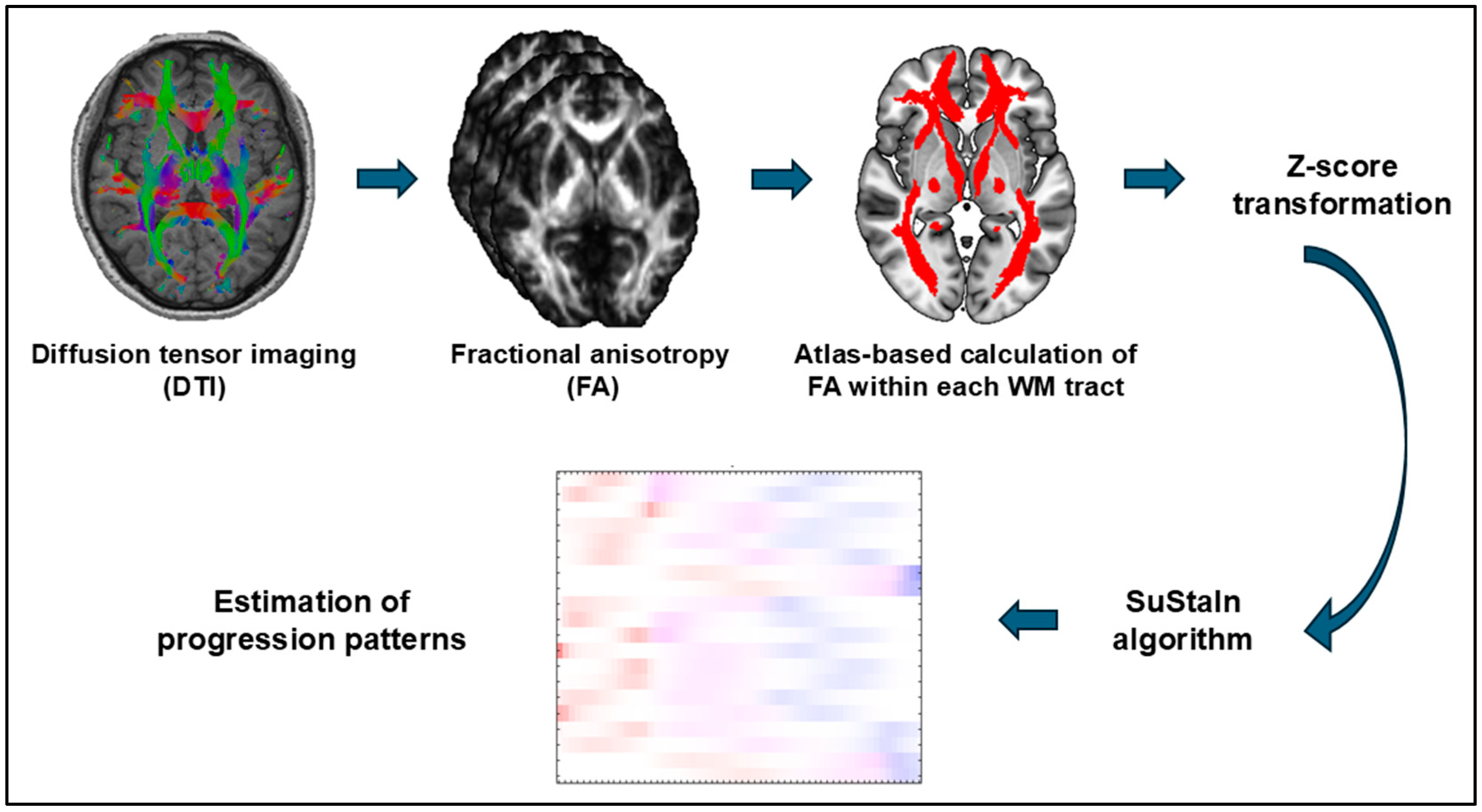 Brainsci 14 00992 g001
