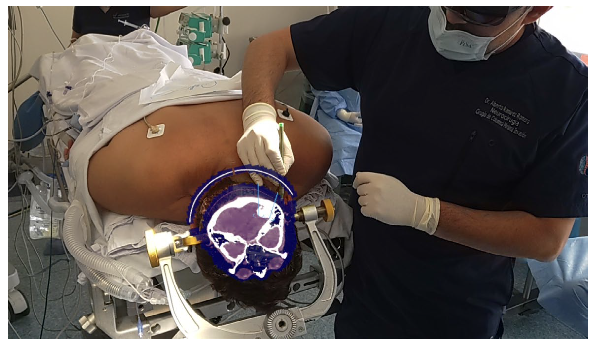 Brainsci 14 01025 g002