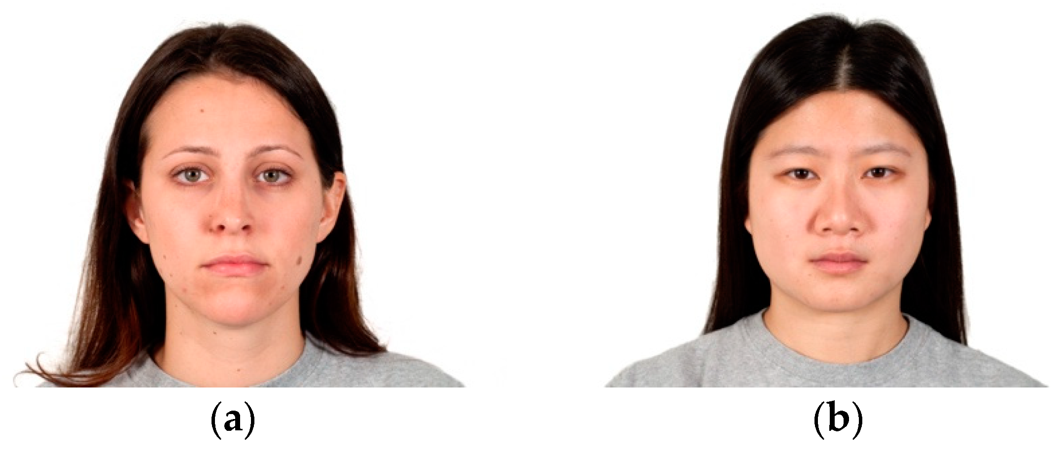 Brainsci 14 01028 g001