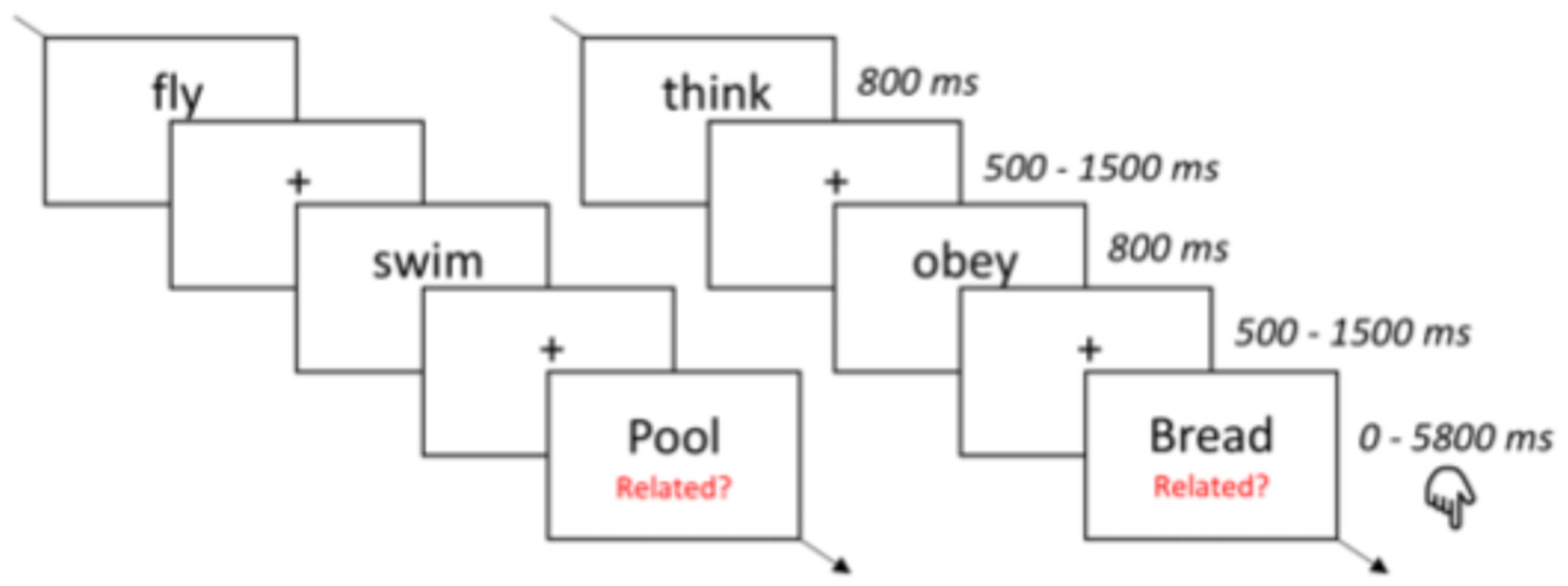 Brainsci 14 01056 g001 Brainsci 14 01056 g001