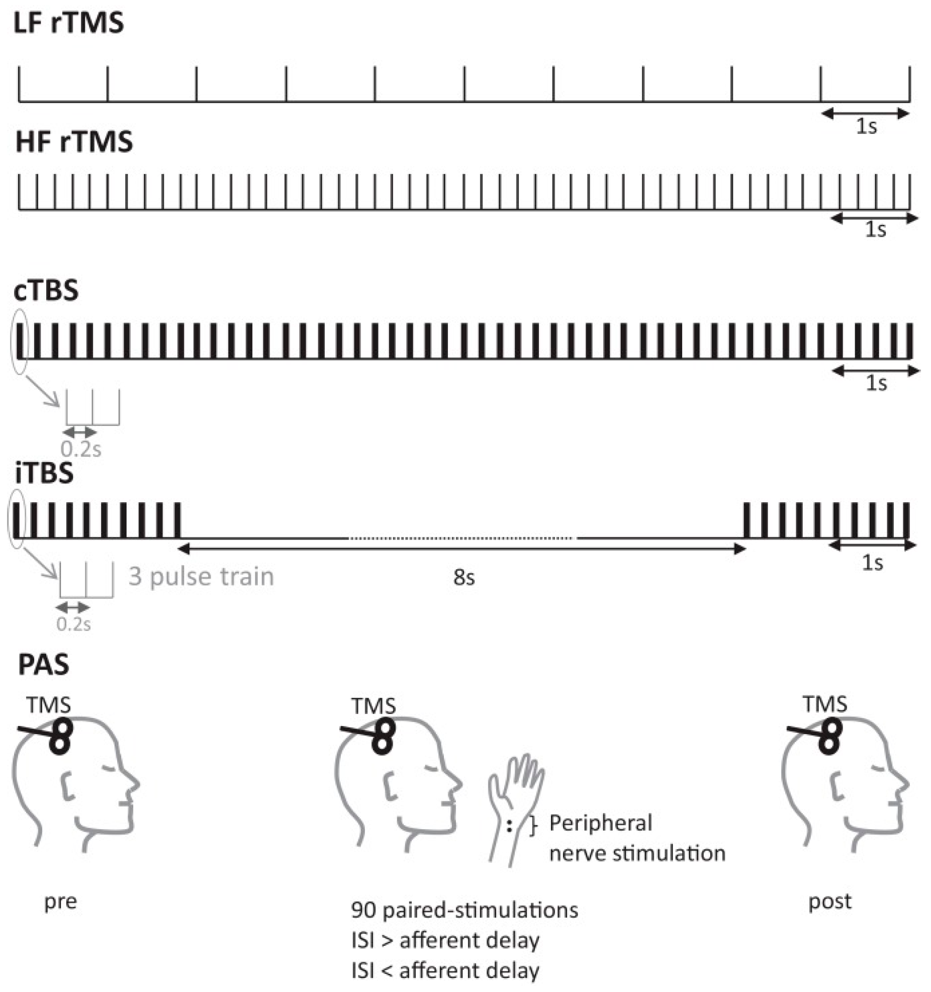 Brainsci 14 01092 g002
