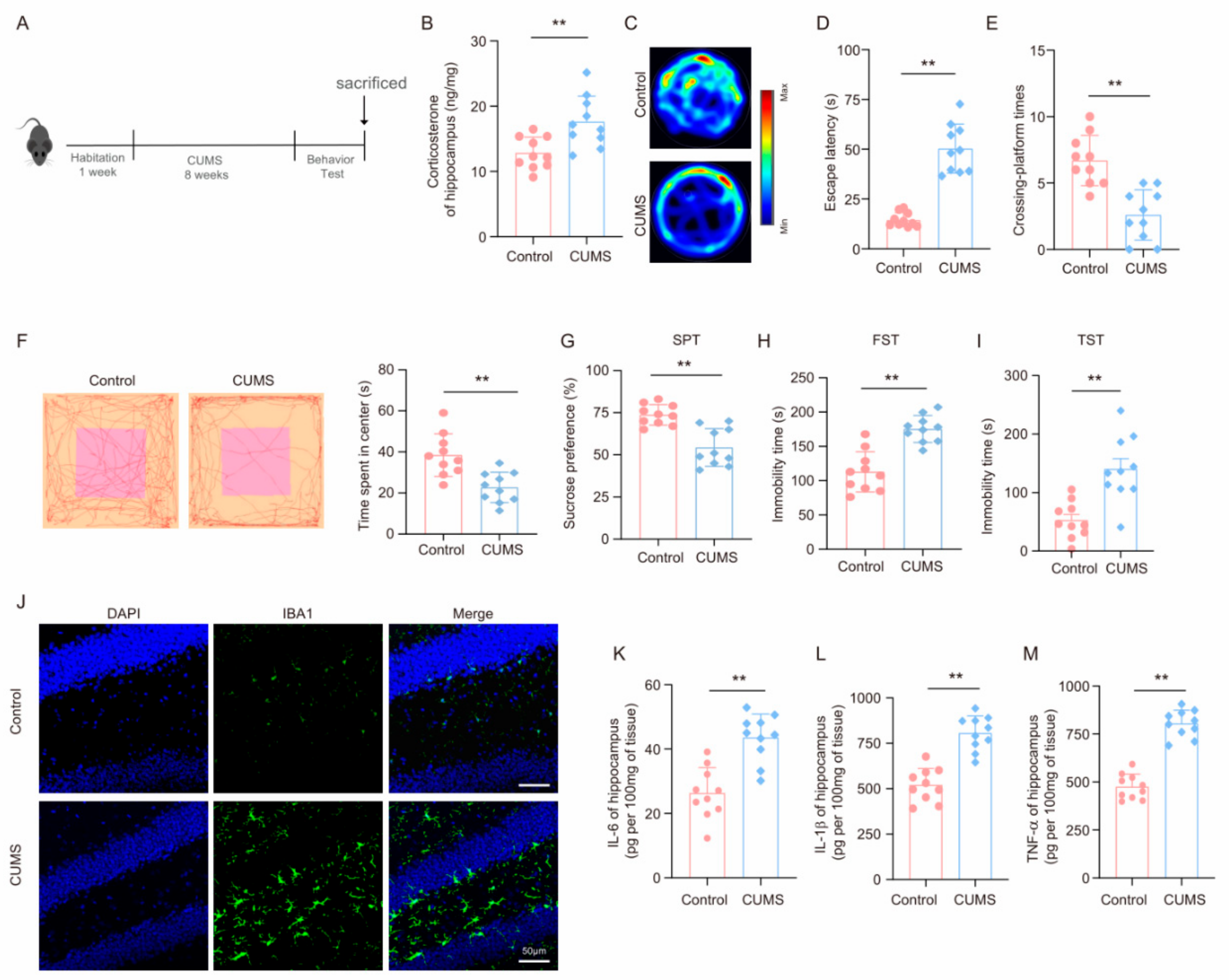 Brainsci 14 01098 g001