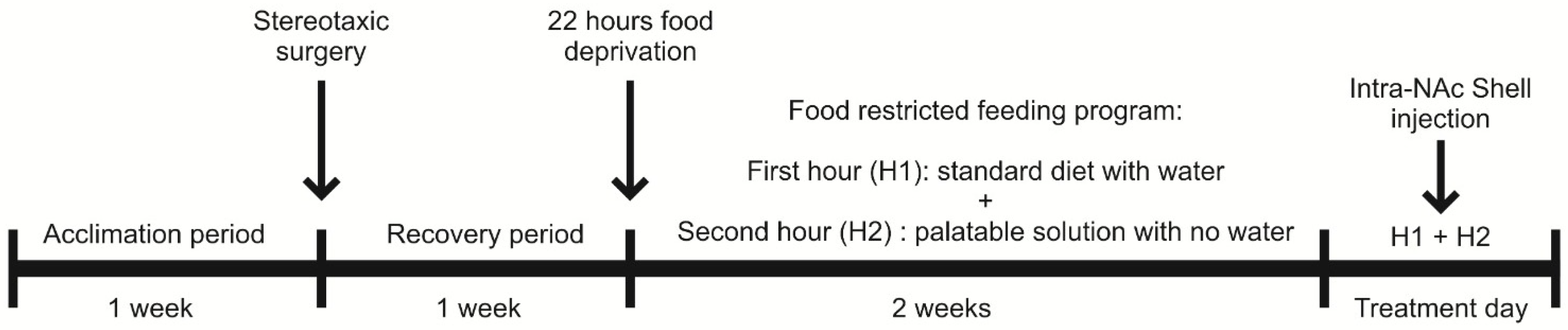 Brainsci 14 01103 g001 Brainsci 14 01103 g001