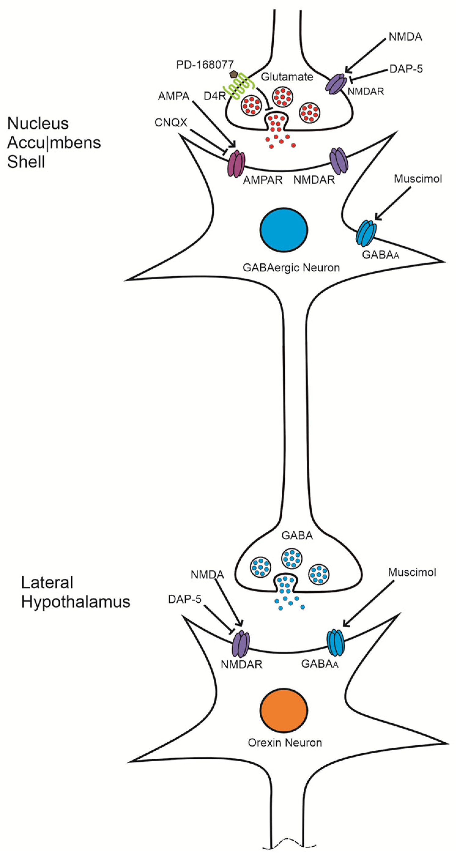 Brainsci 14 01103 g006 Brainsci 14 01103 g006