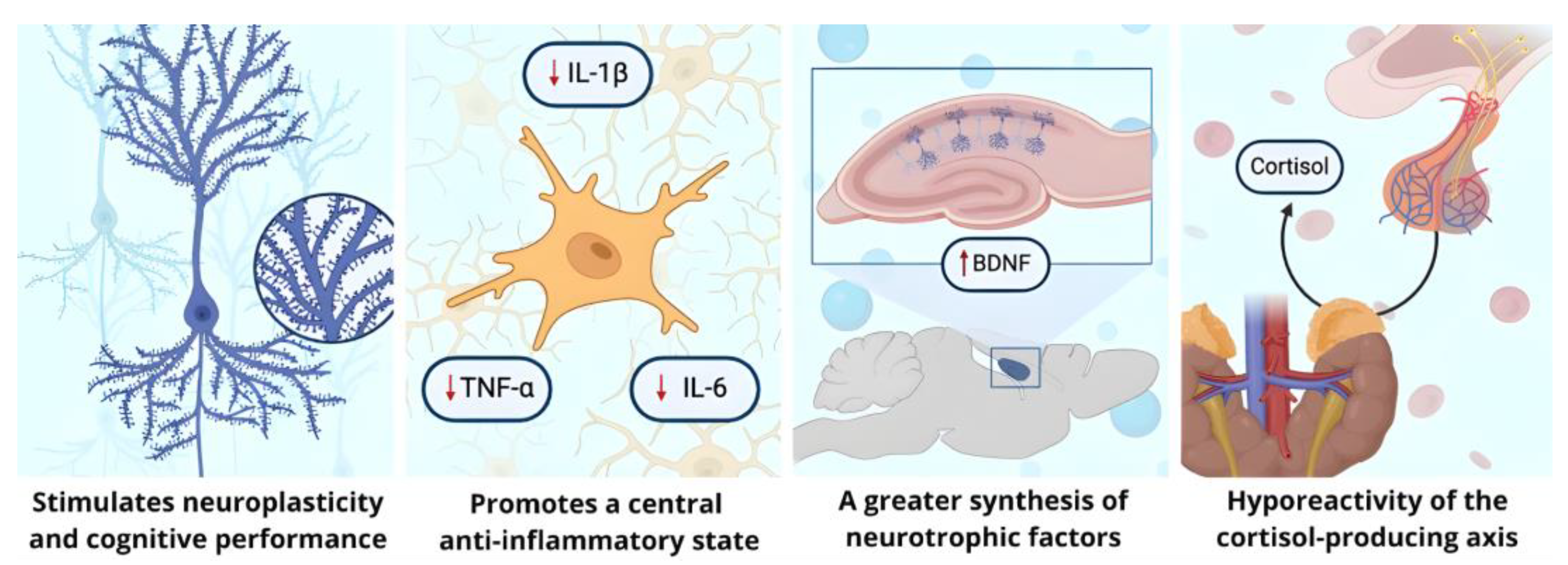 Brainsci 14 01137 g001