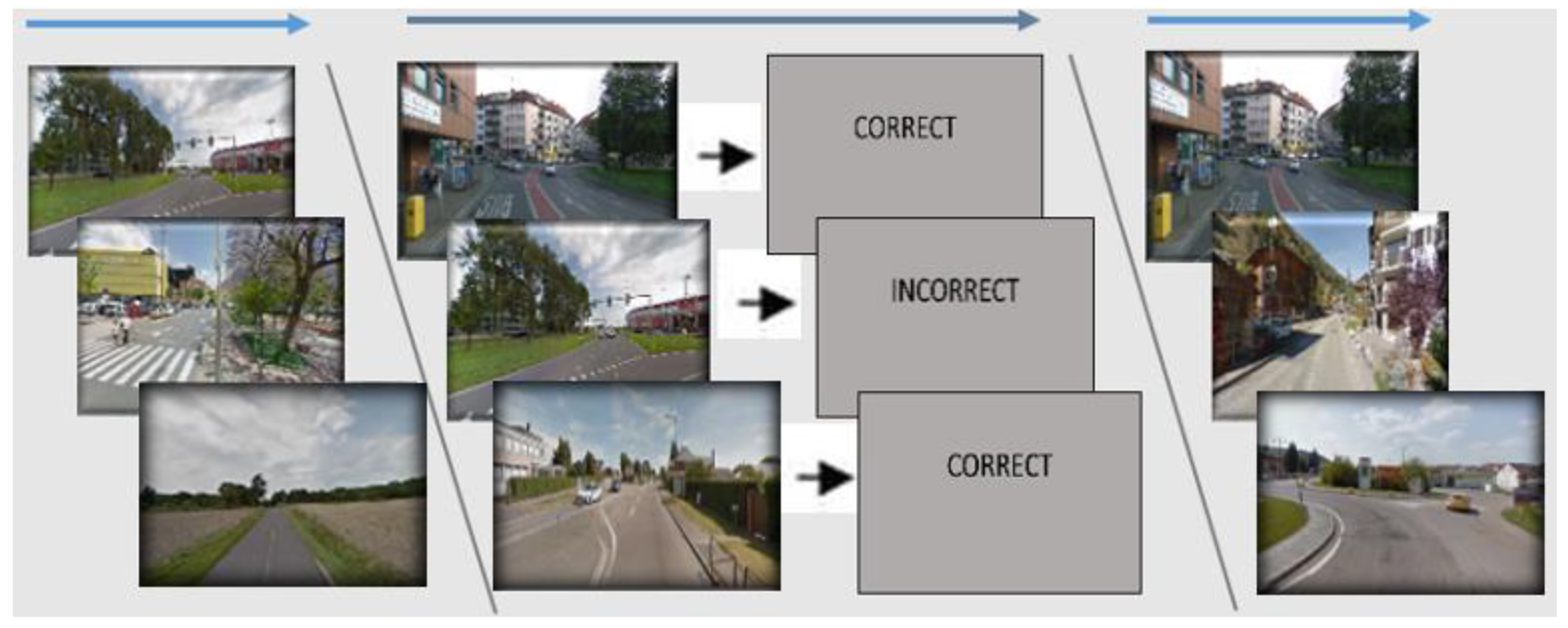 Brainsci 14 01138 g003 Brainsci 14 01138 g003