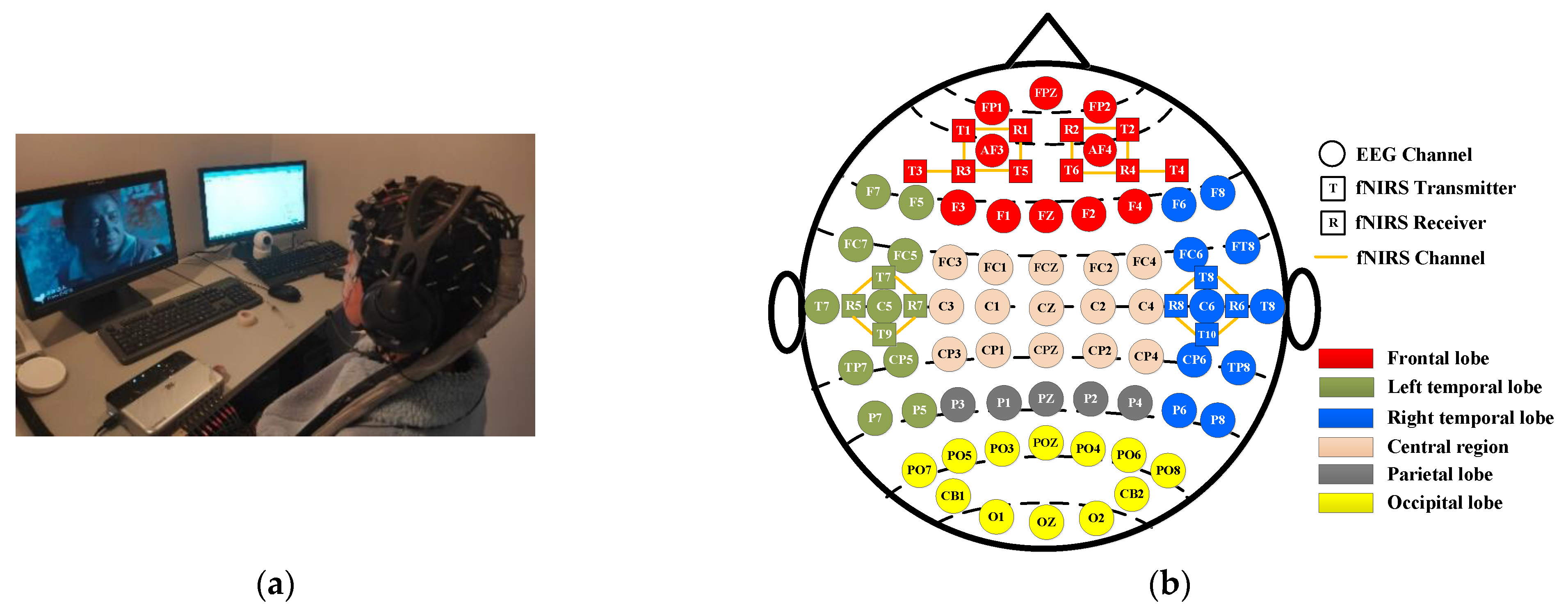 Brainsci 14 01166 g001