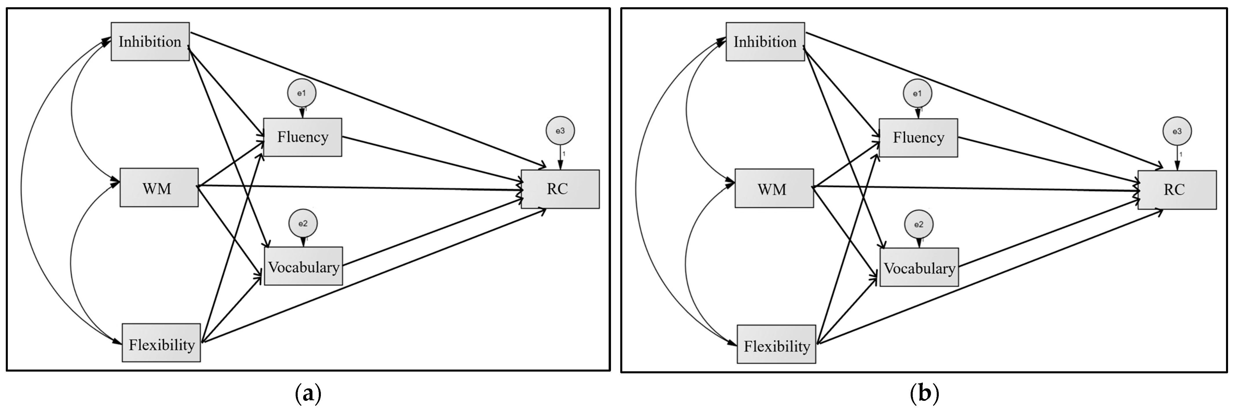 Brainsci 14 01174 g001