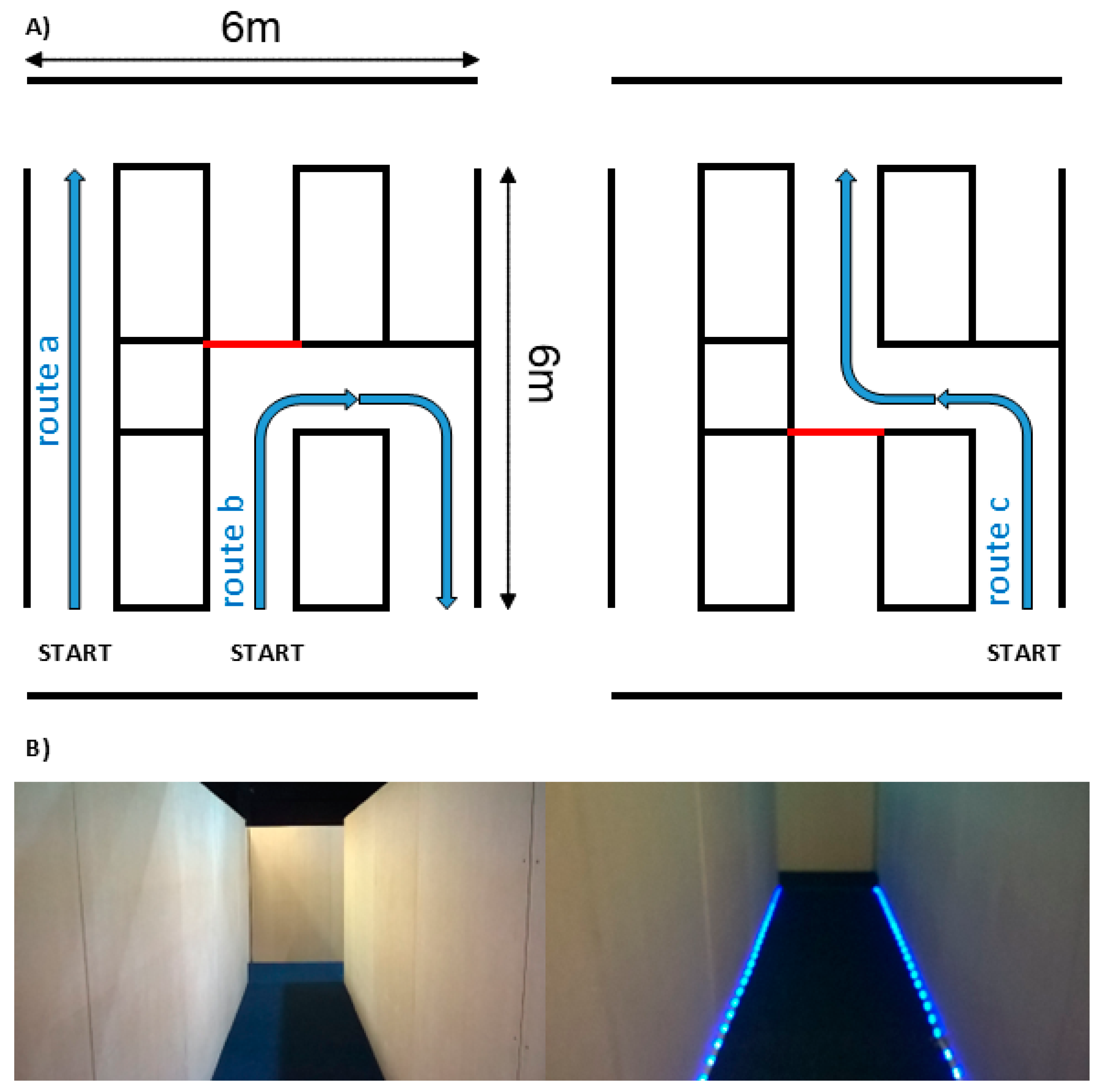 Brainsci 14 01217 g001
