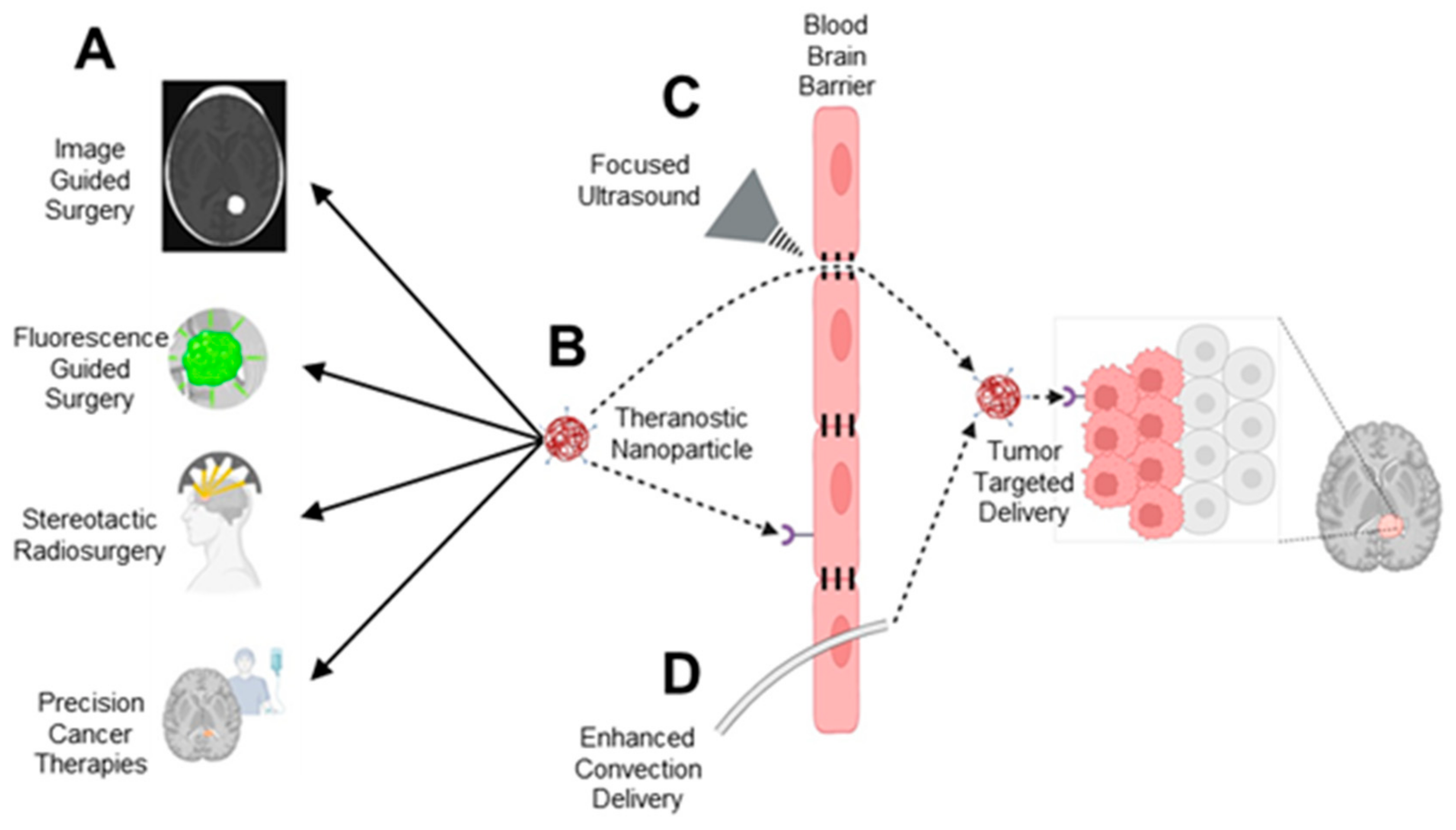 Brainsci 14 01253 g004