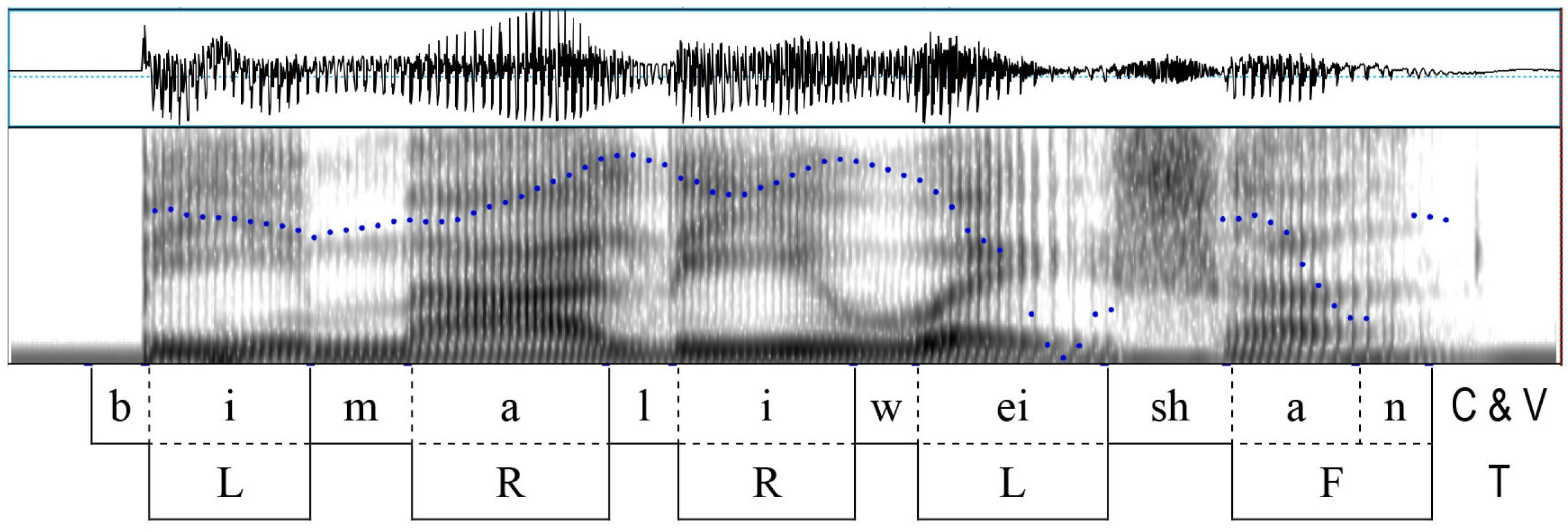 Brainsci 15 00033 g001