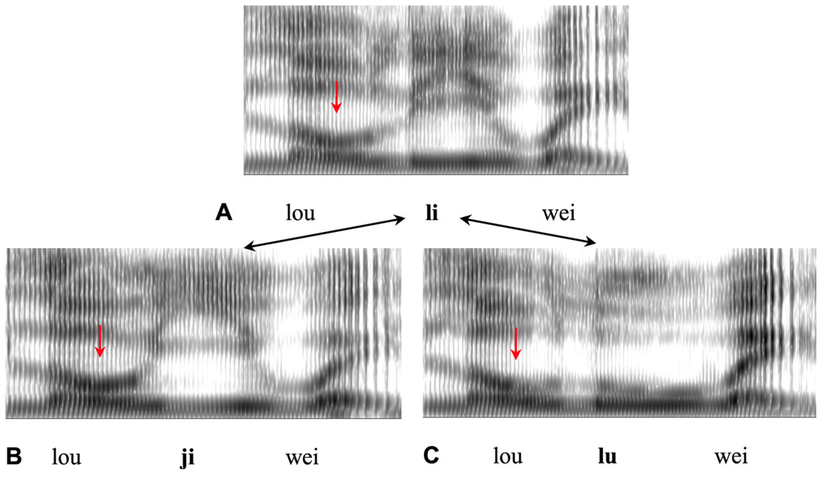 Brainsci 15 00033 g010