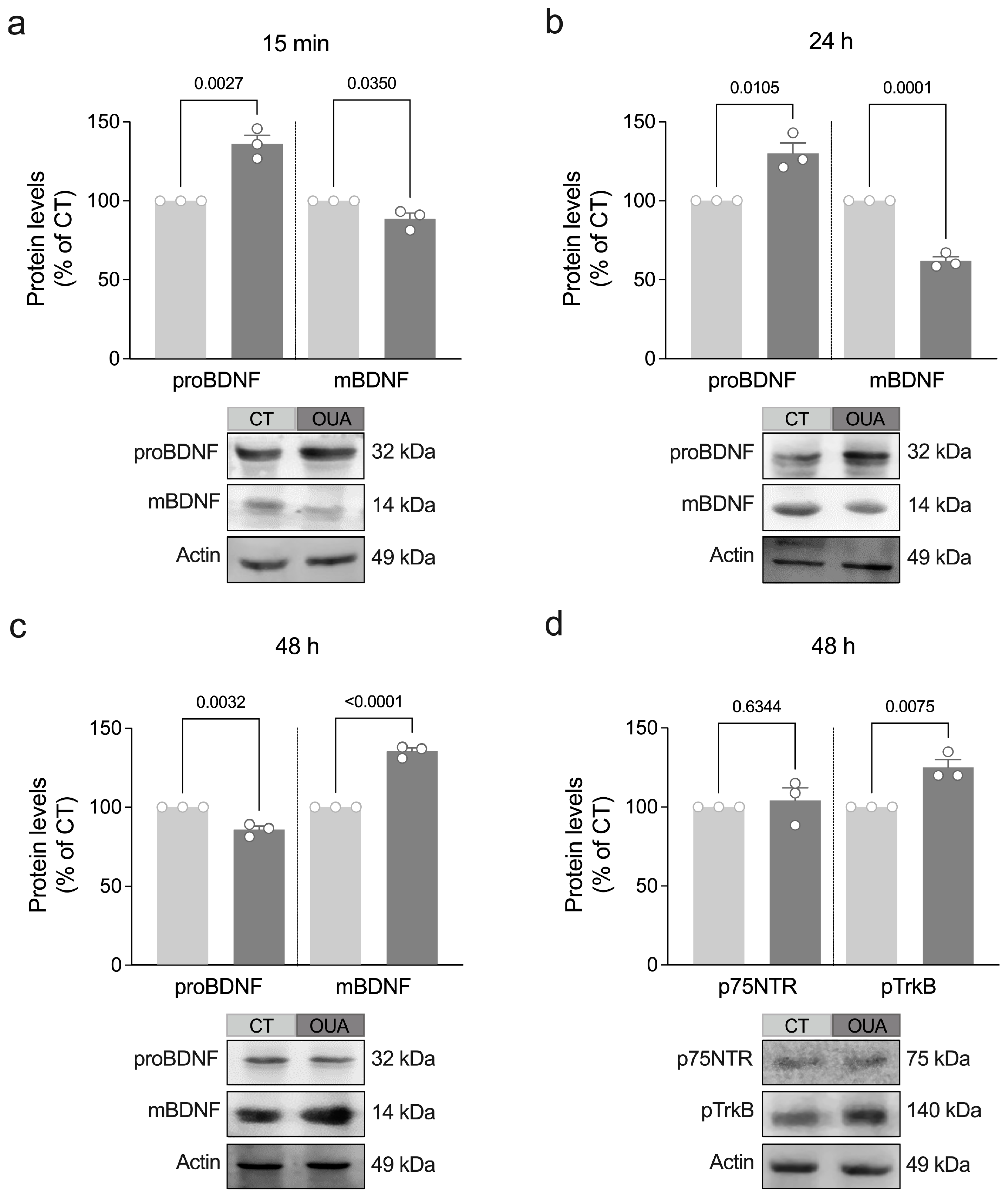 Brainsci 15 00123 g002