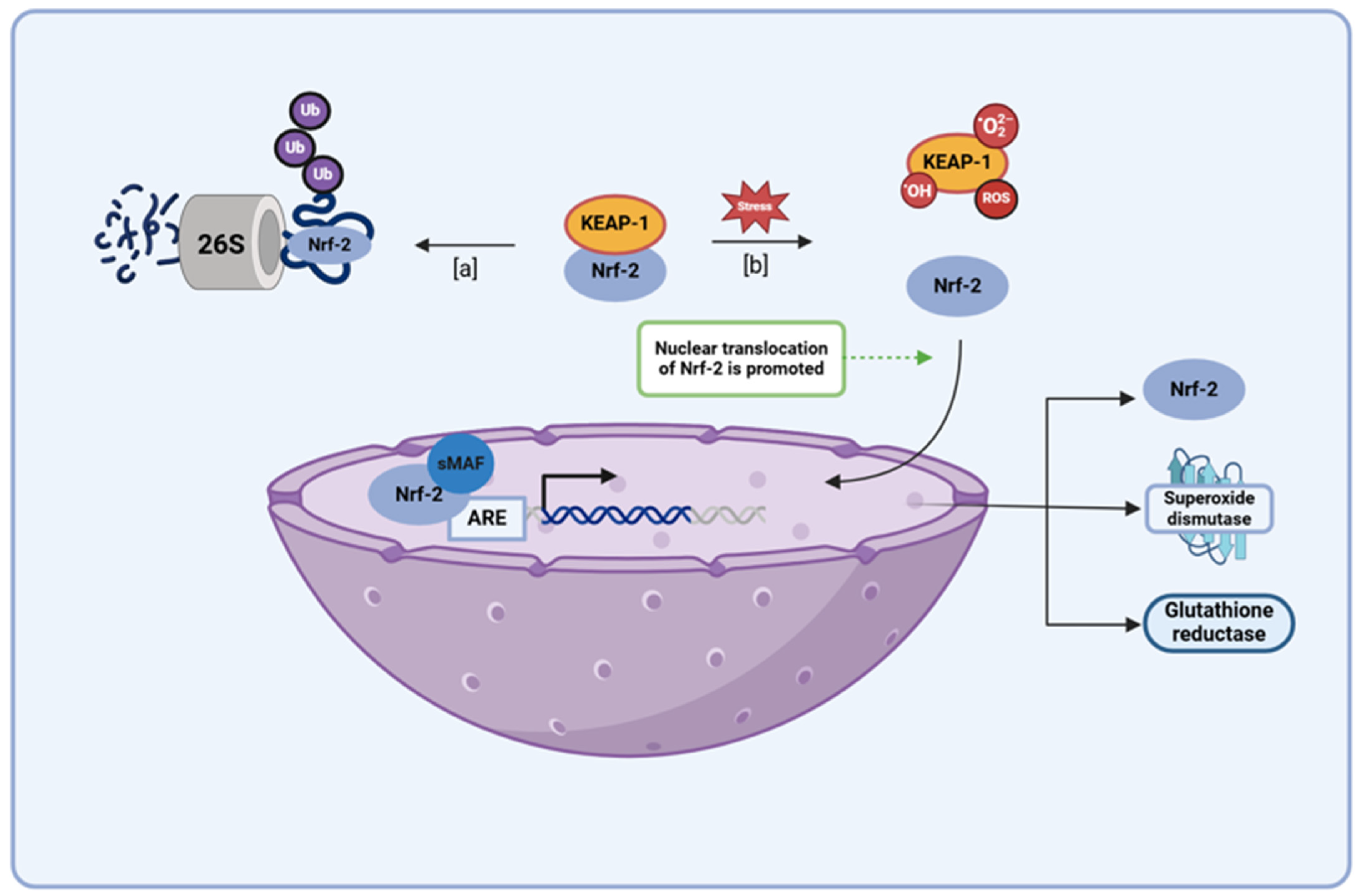 Brainsci 15 00144 g007