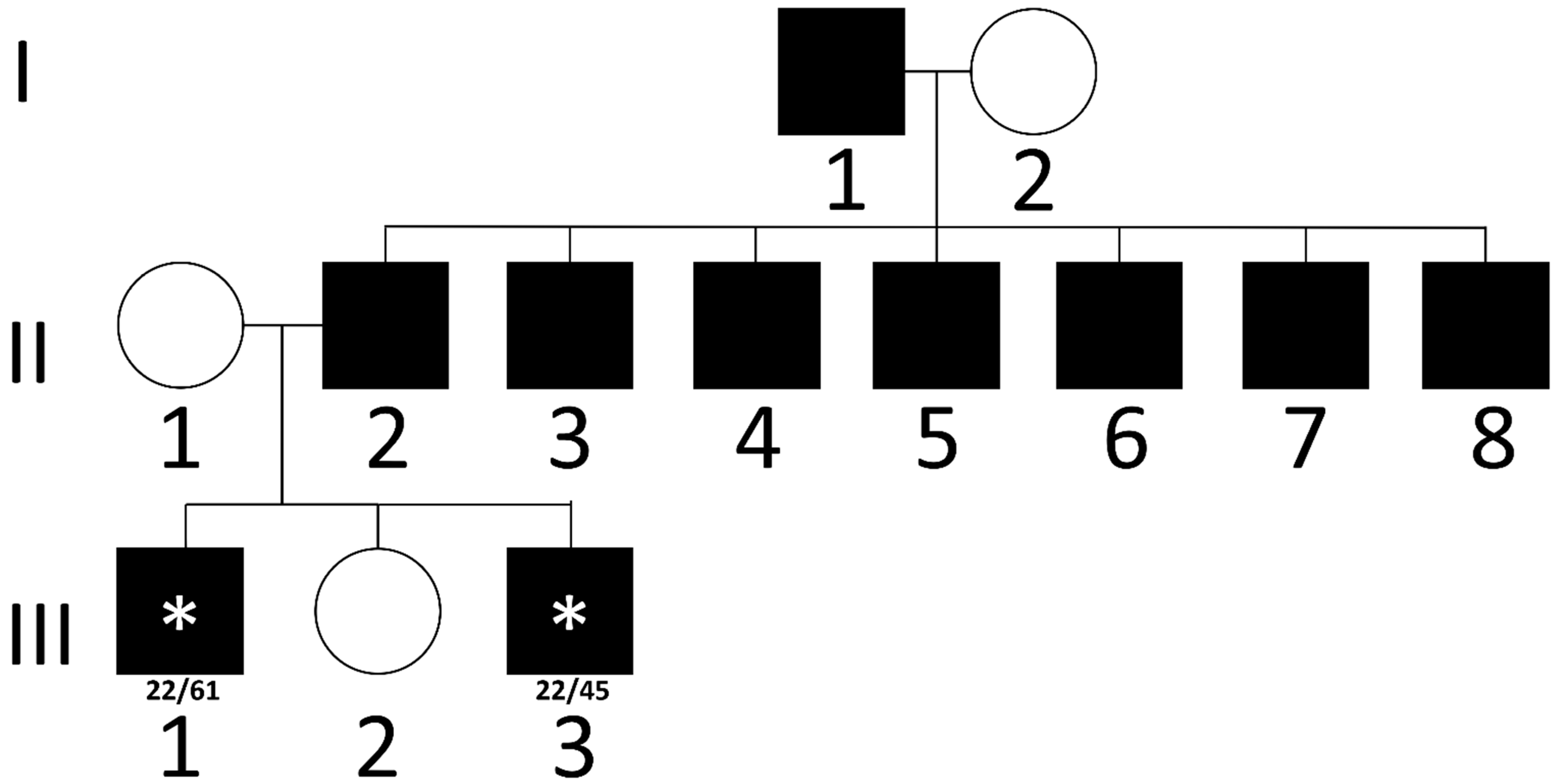 Brainsci 15 00156 g002