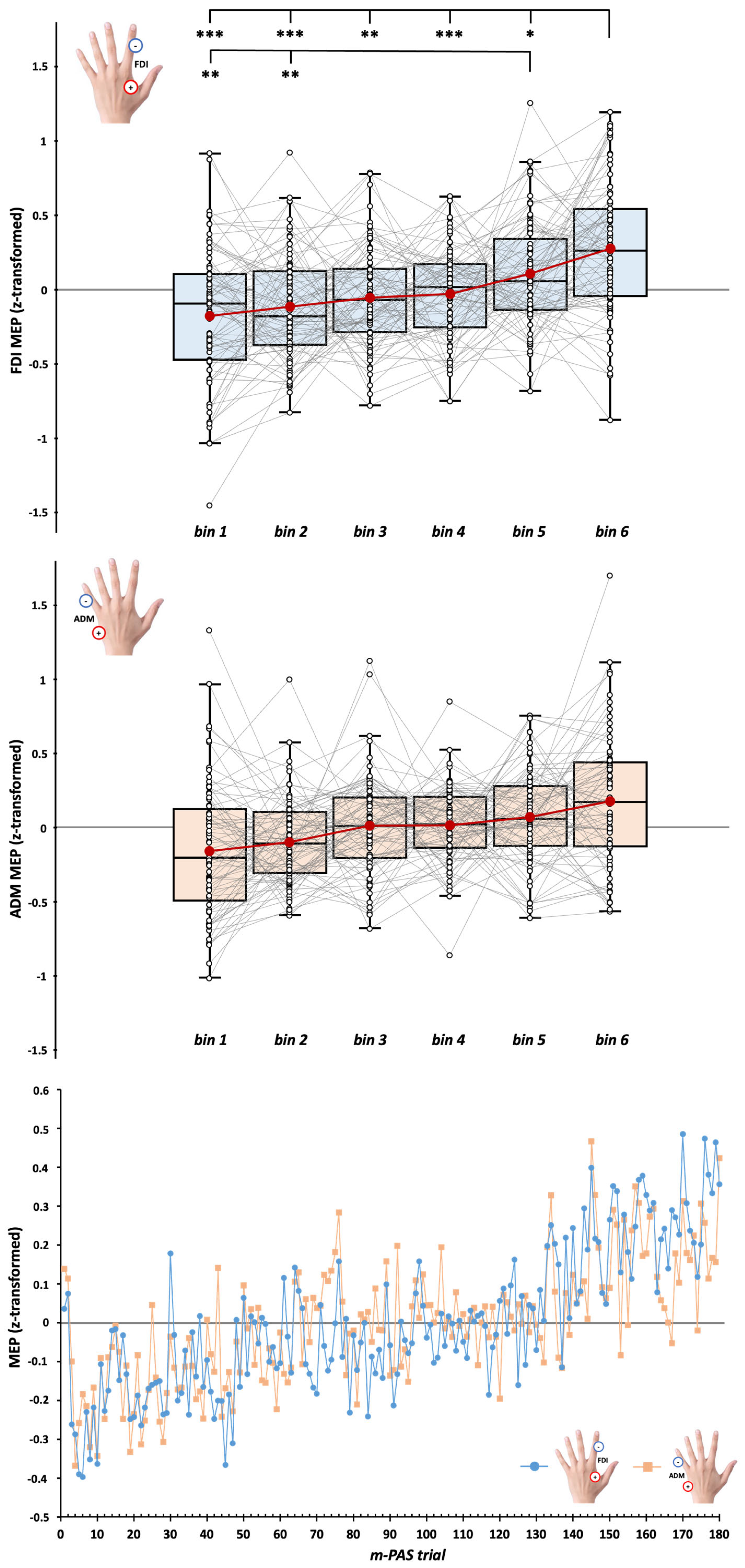 Brainsci 15 00257 g003