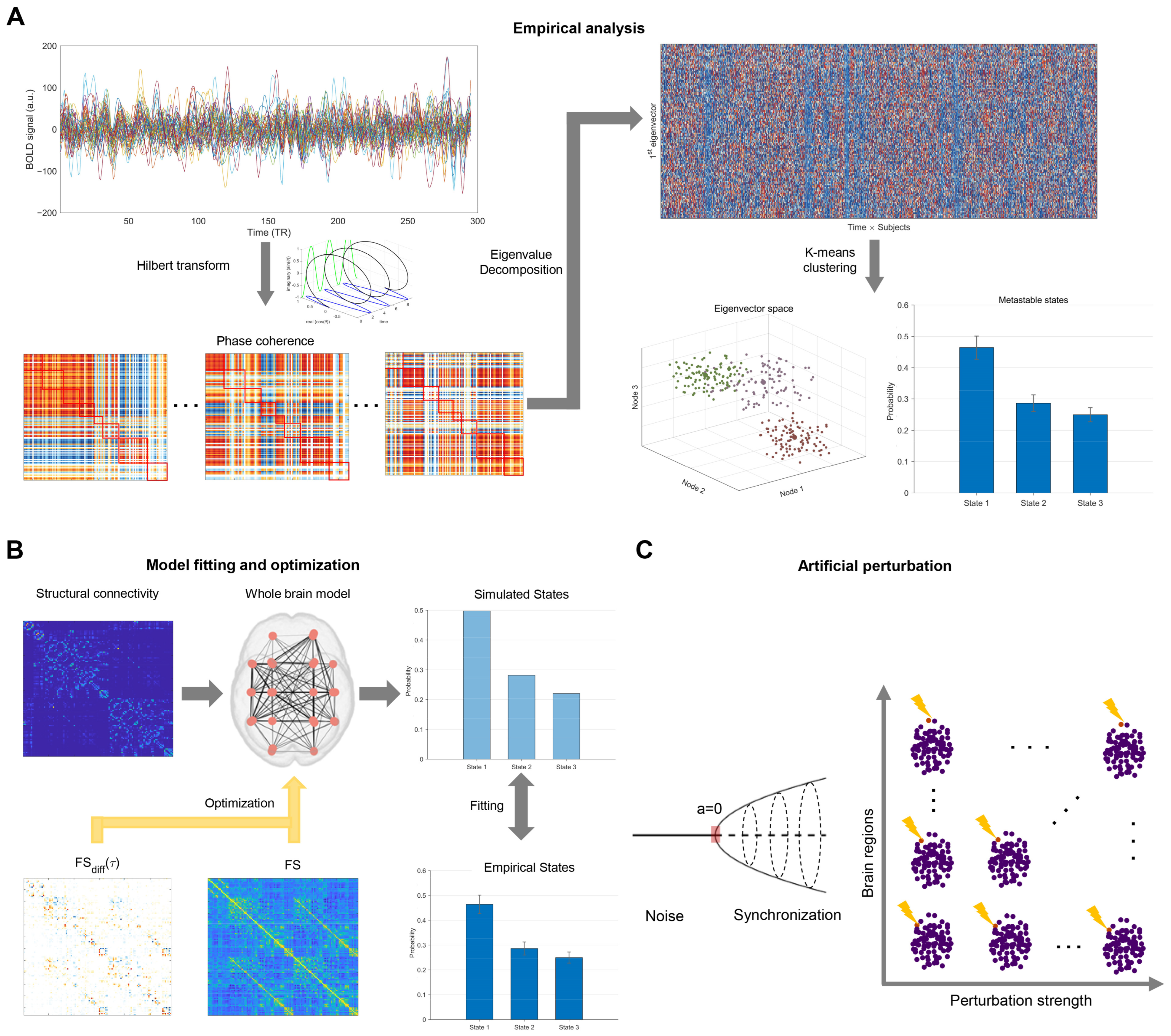 Brainsci 15 00263 g001