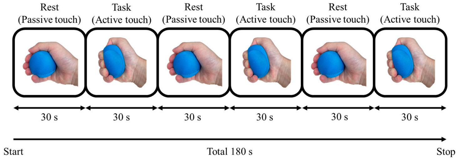 Brainsci 15 00264 g002