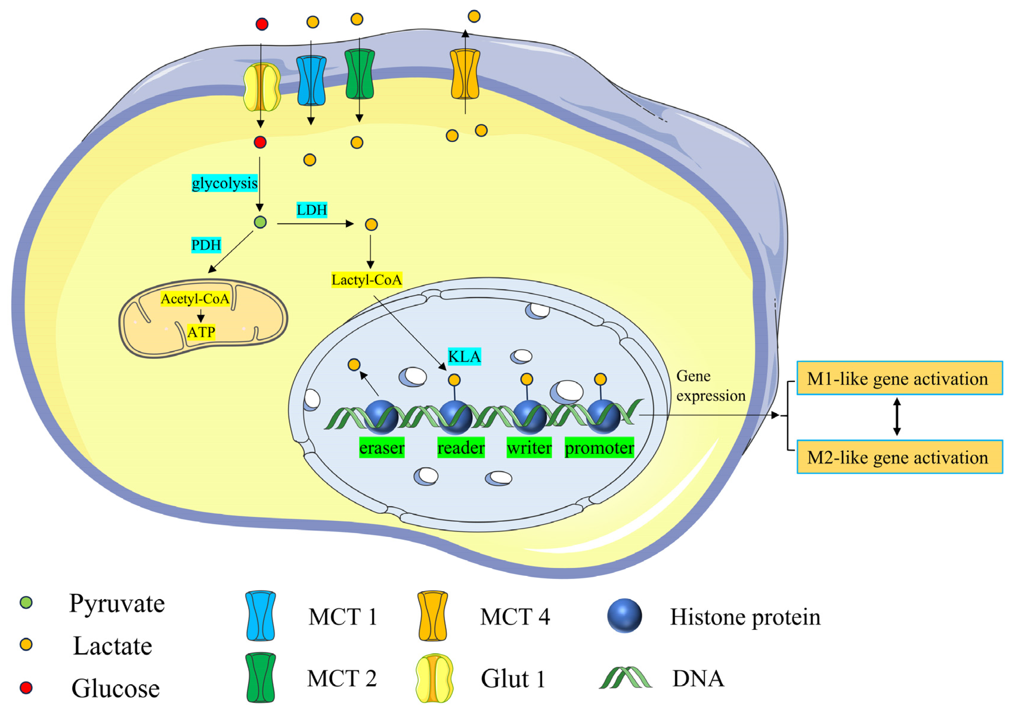 Brainsci 15 00294 g002 Brainsci 15 00294 g002