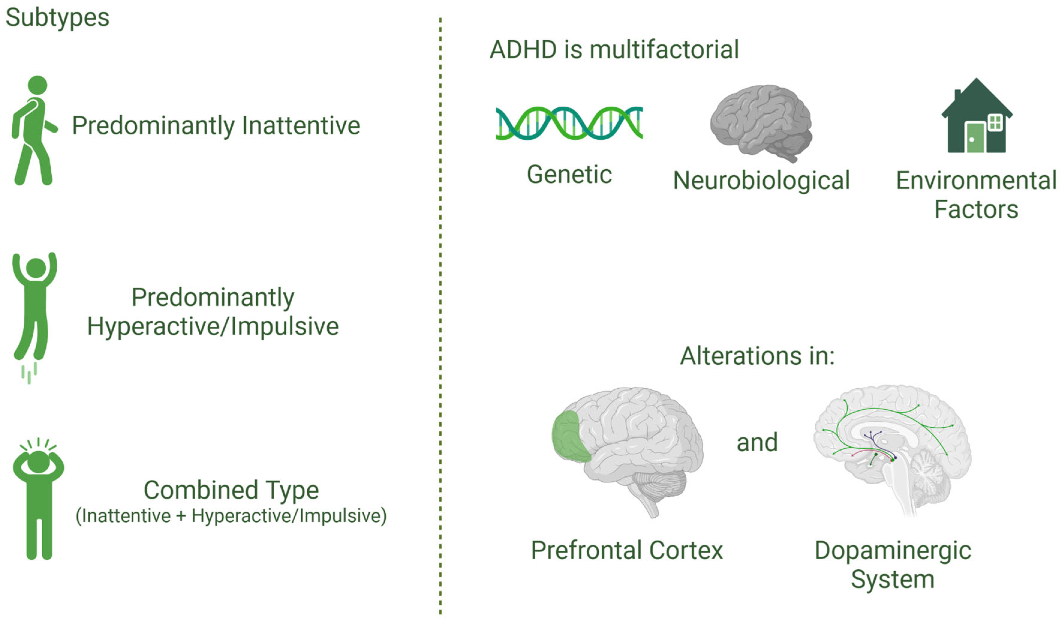 Brainsci 15 00307 g003