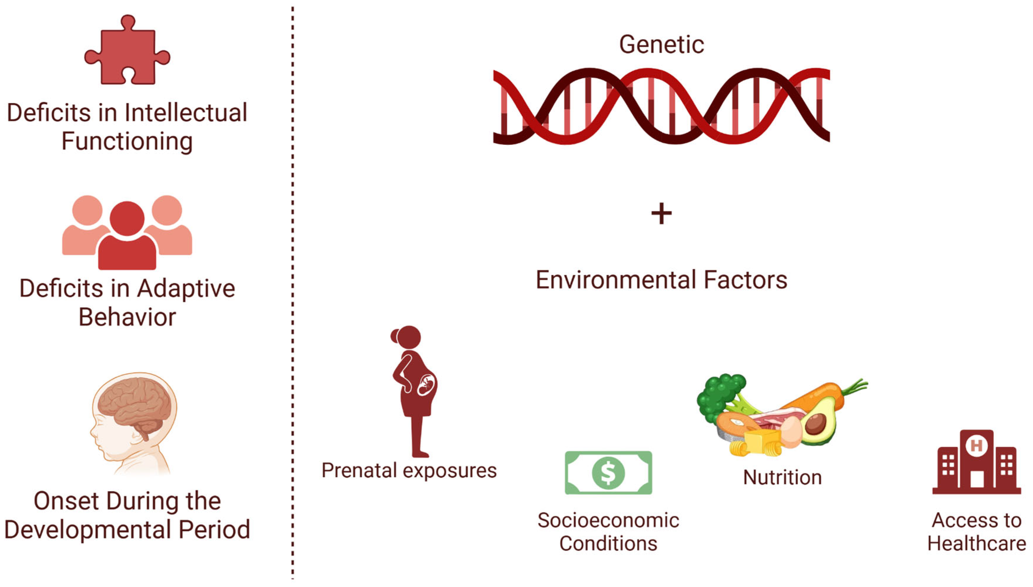 Brainsci 15 00307 g004