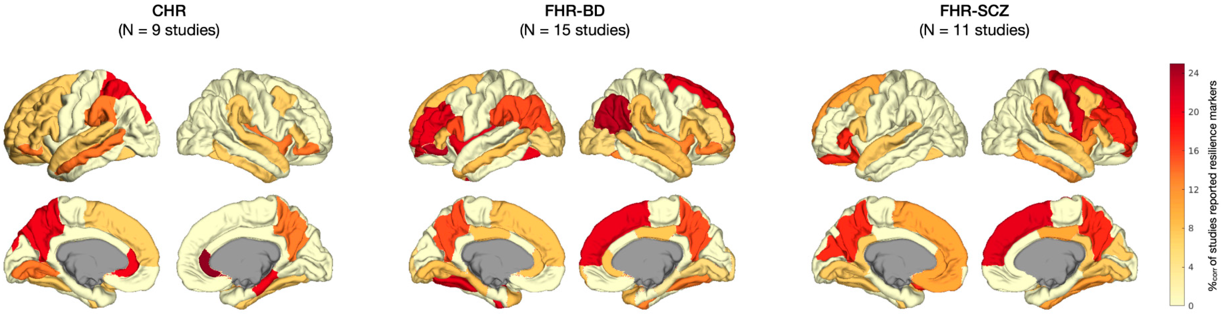 Brainsci 15 00314 g0a1