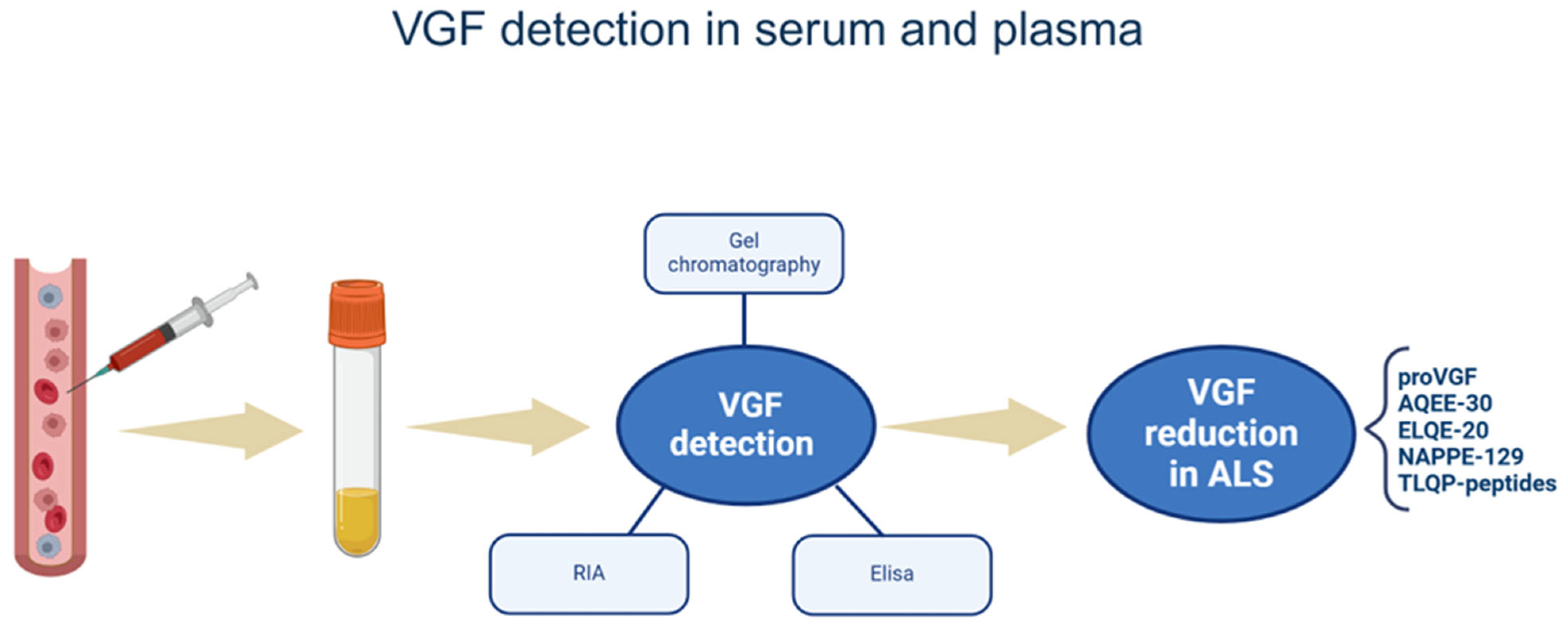 Brainsci 15 00329 g003 Brainsci 15 00329 g003