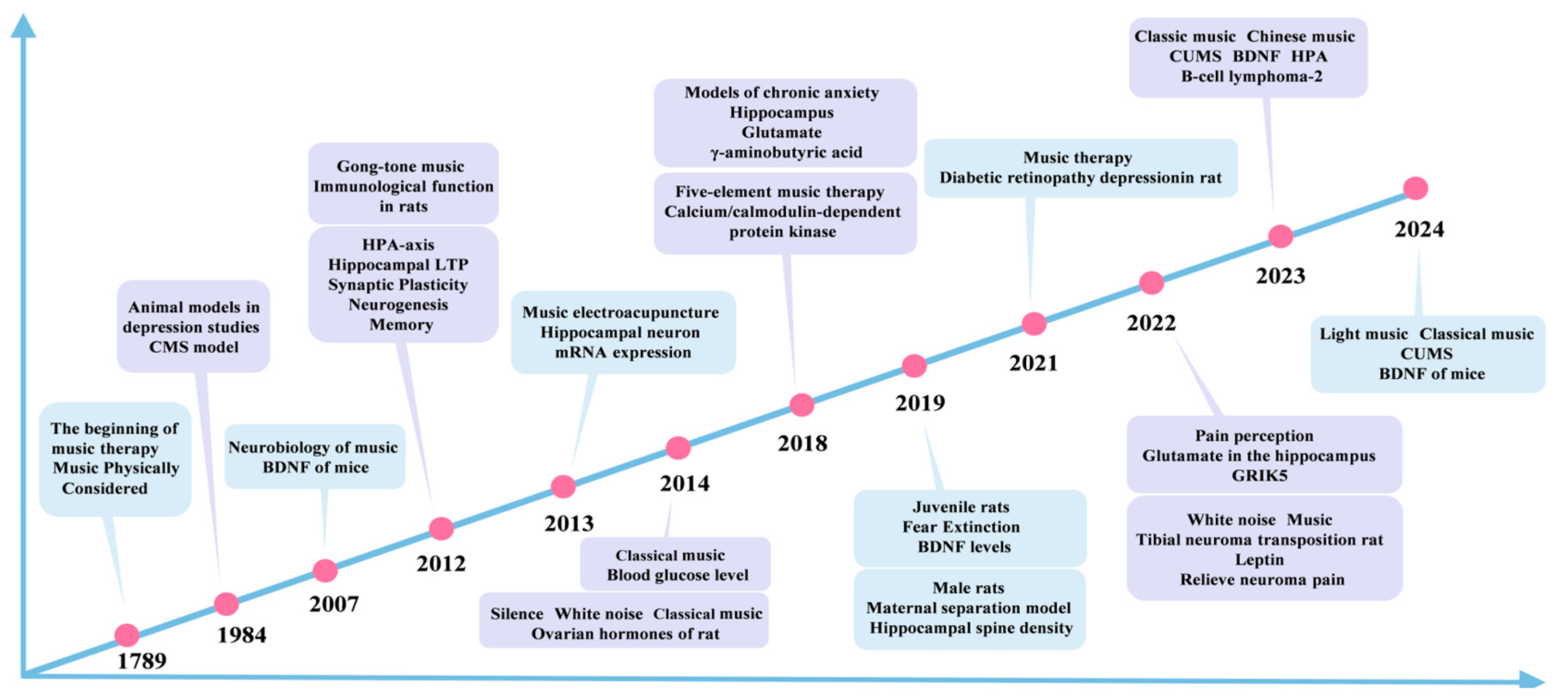 Brainsci 15 00338 g002 Brainsci 15 00338 g002
