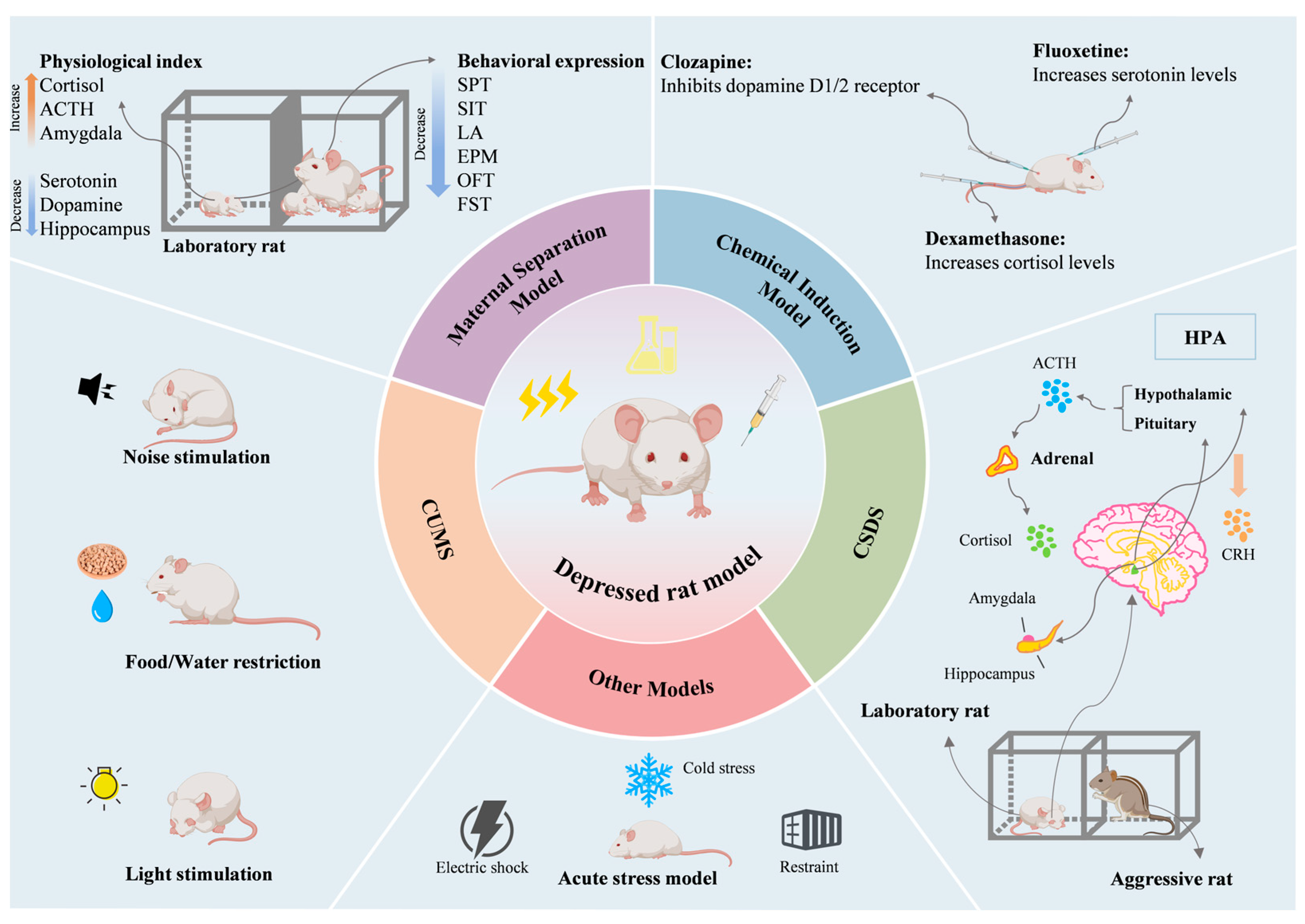 Brainsci 15 00338 g003 Brainsci 15 00338 g003