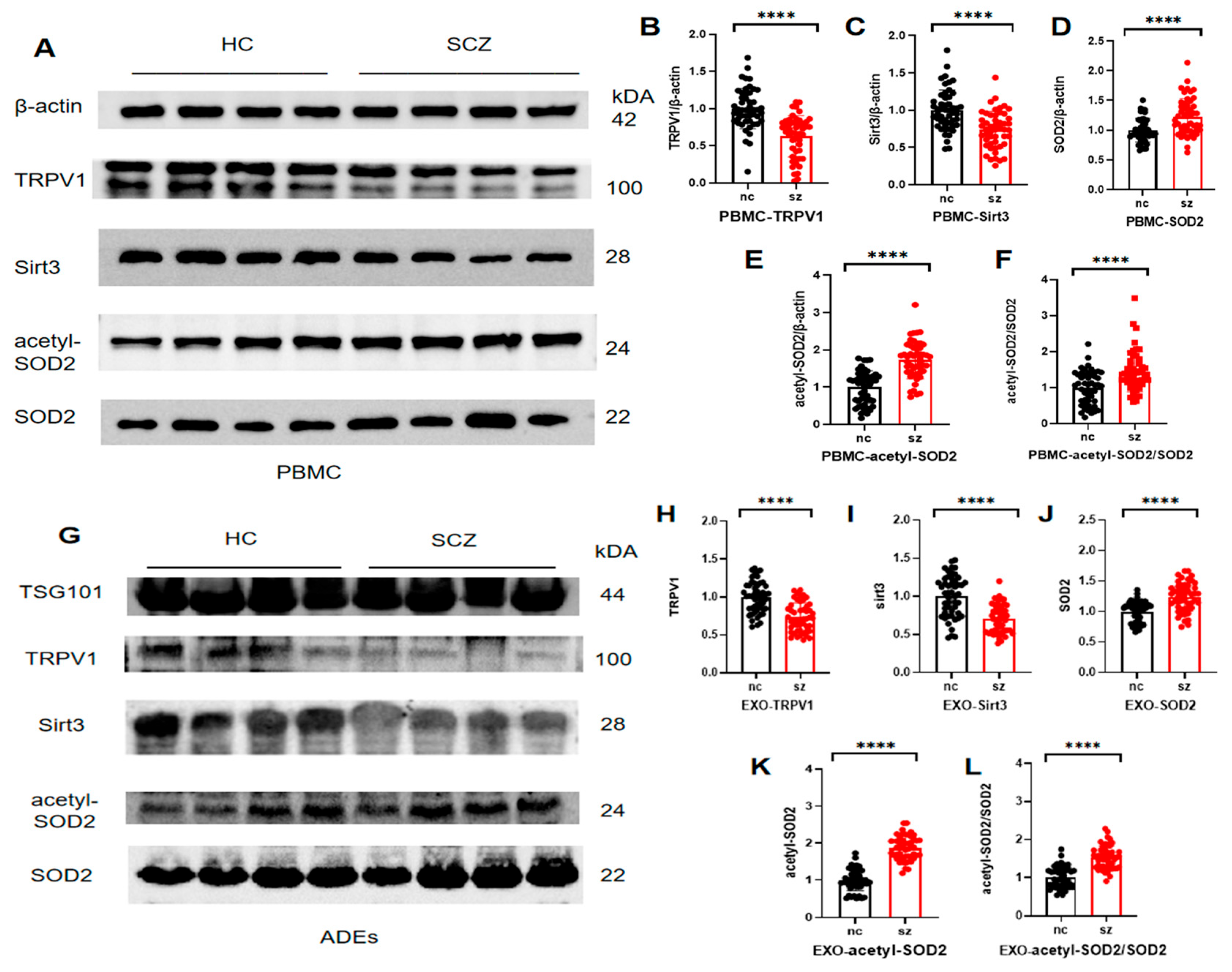 Brainsci 15 00339 g002