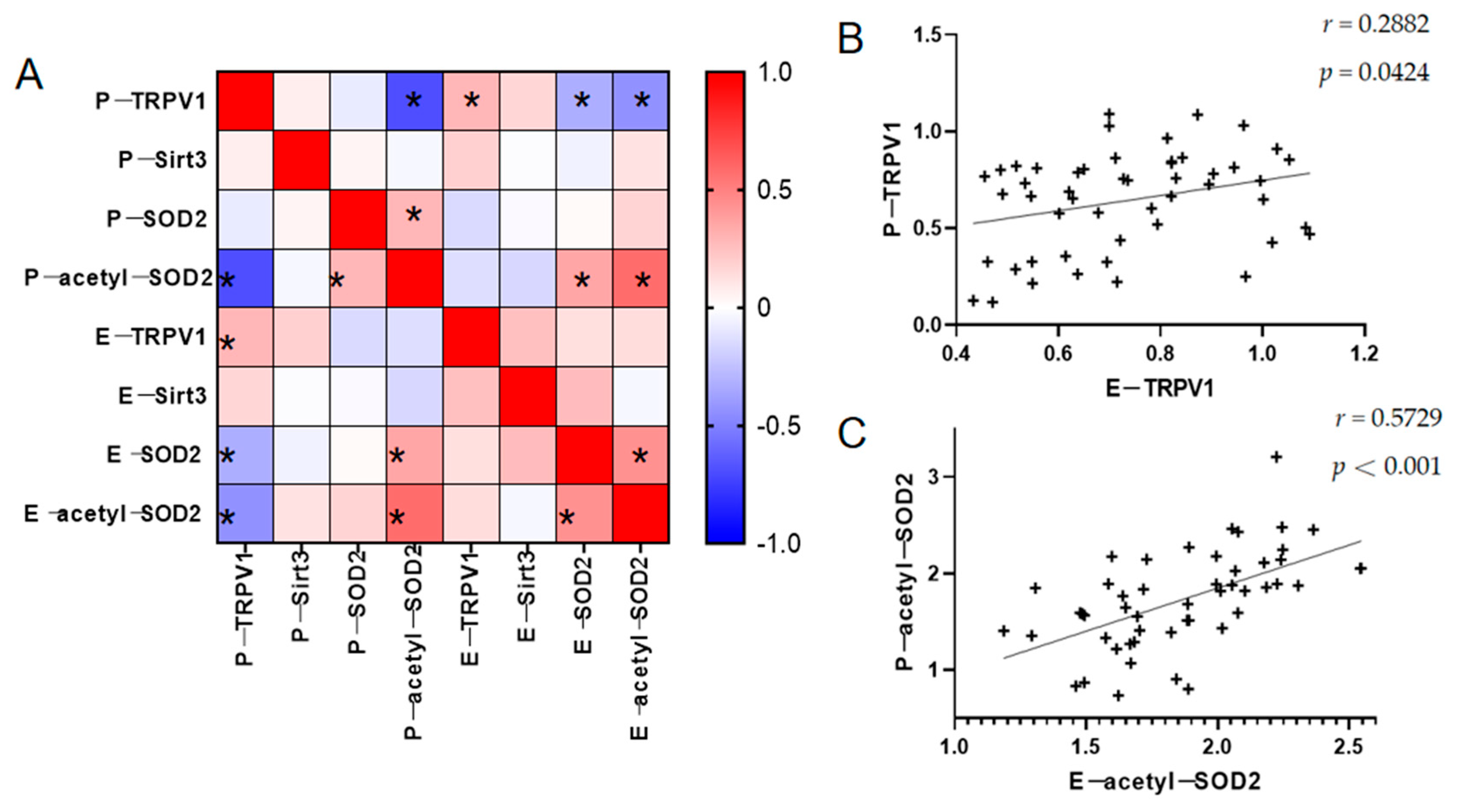 Brainsci 15 00339 g003