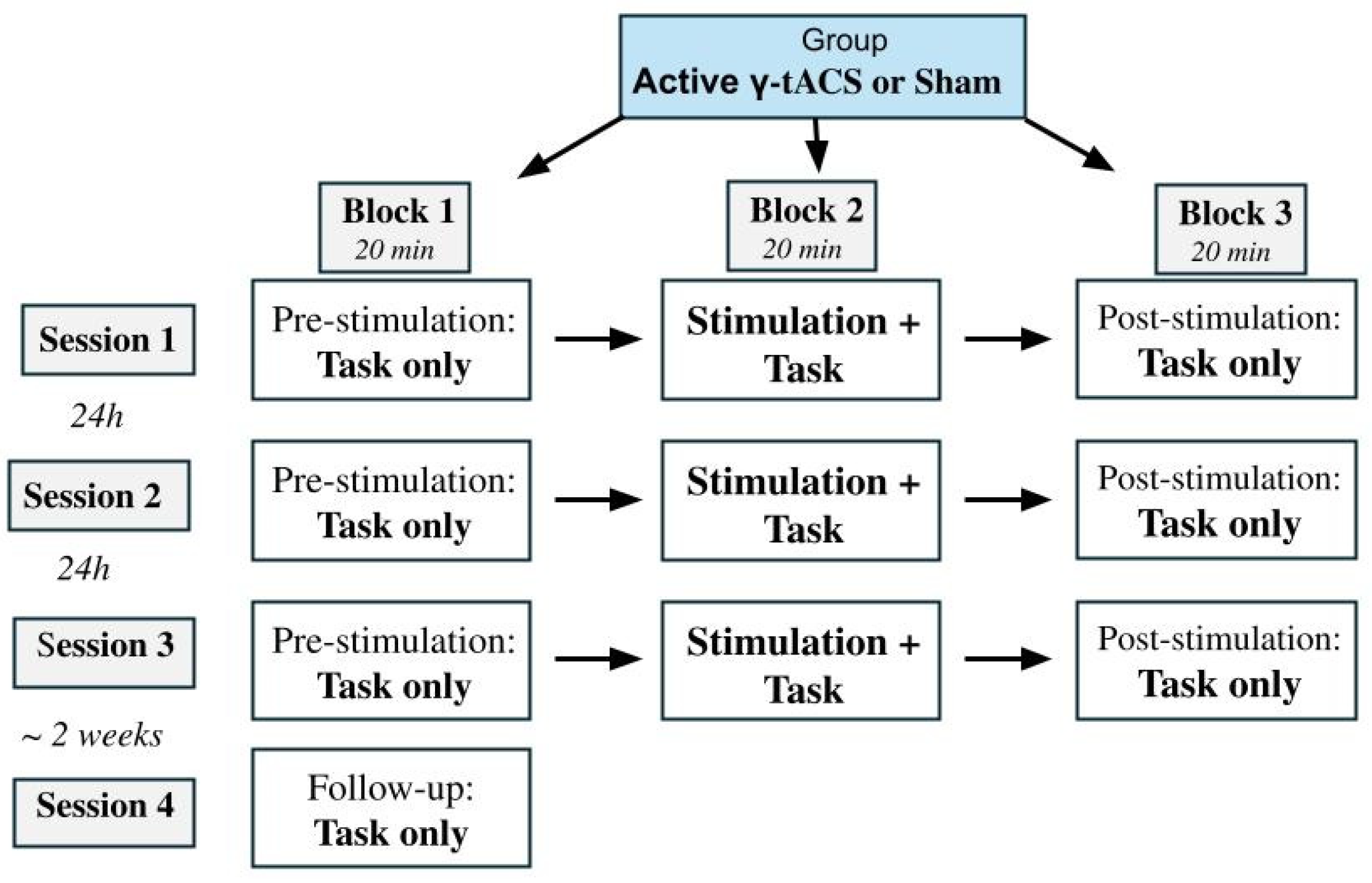 Brainsci 15 00343 g001