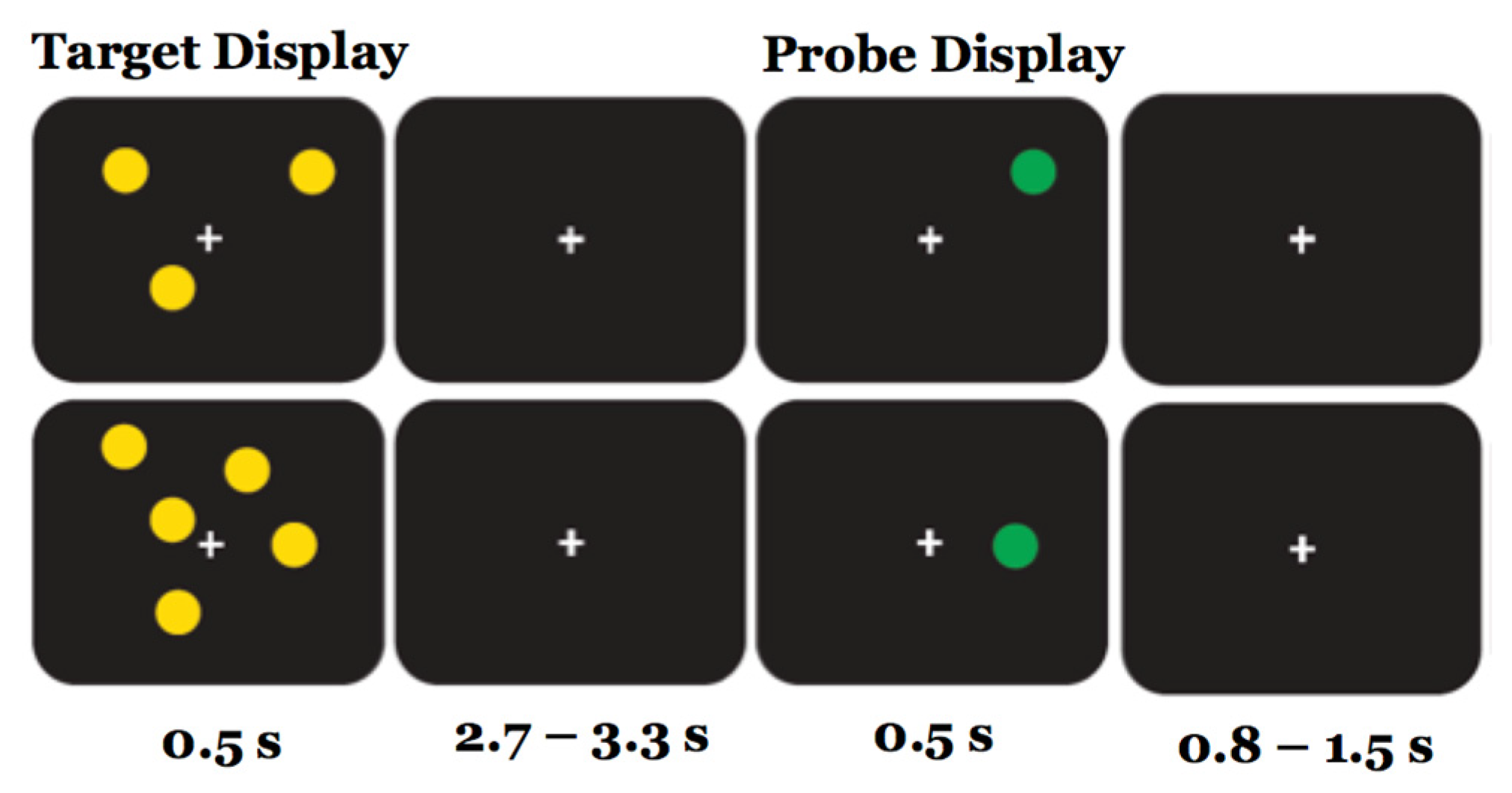 Brainsci 15 00343 g002
